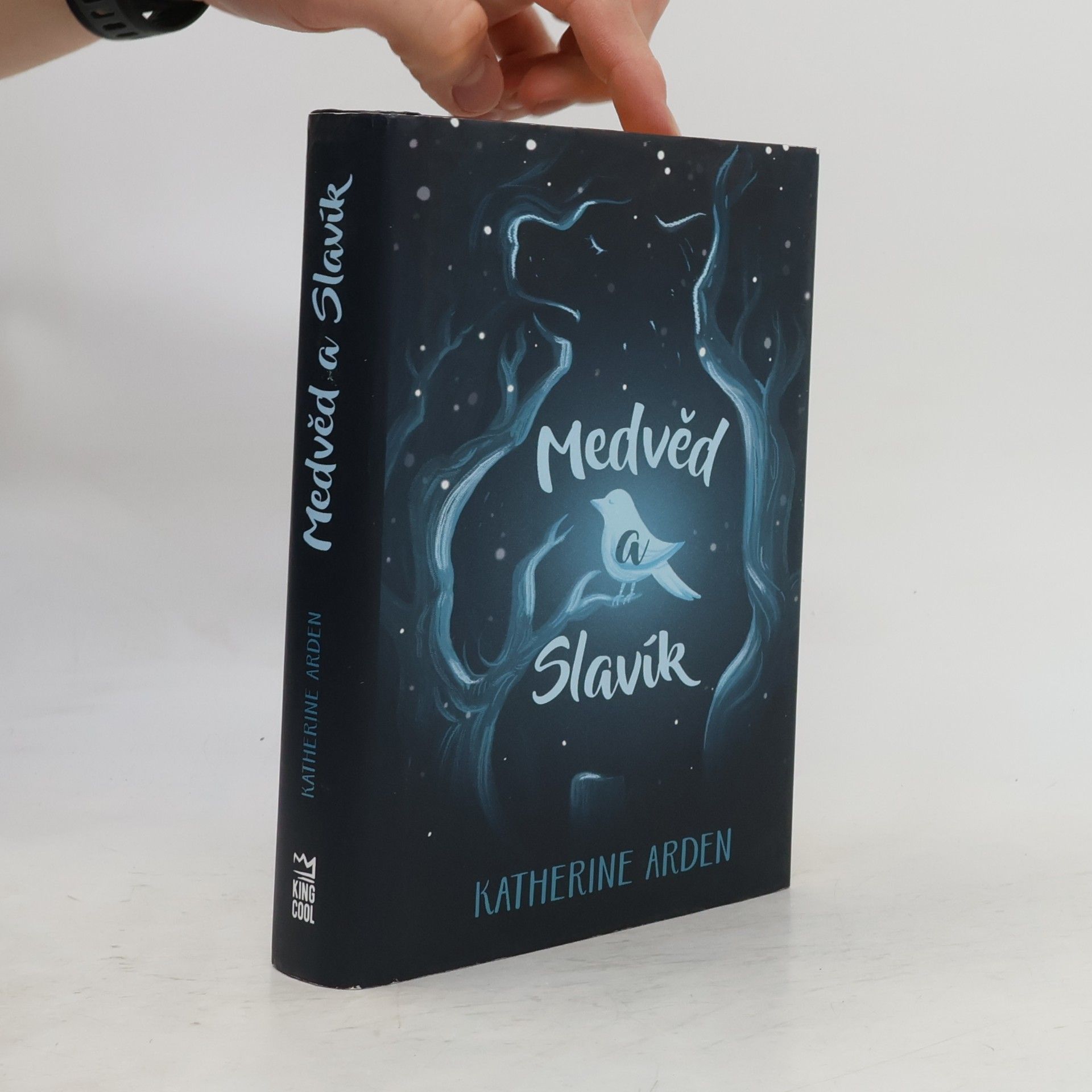 Katherine Arden Medvěd a Slavík
