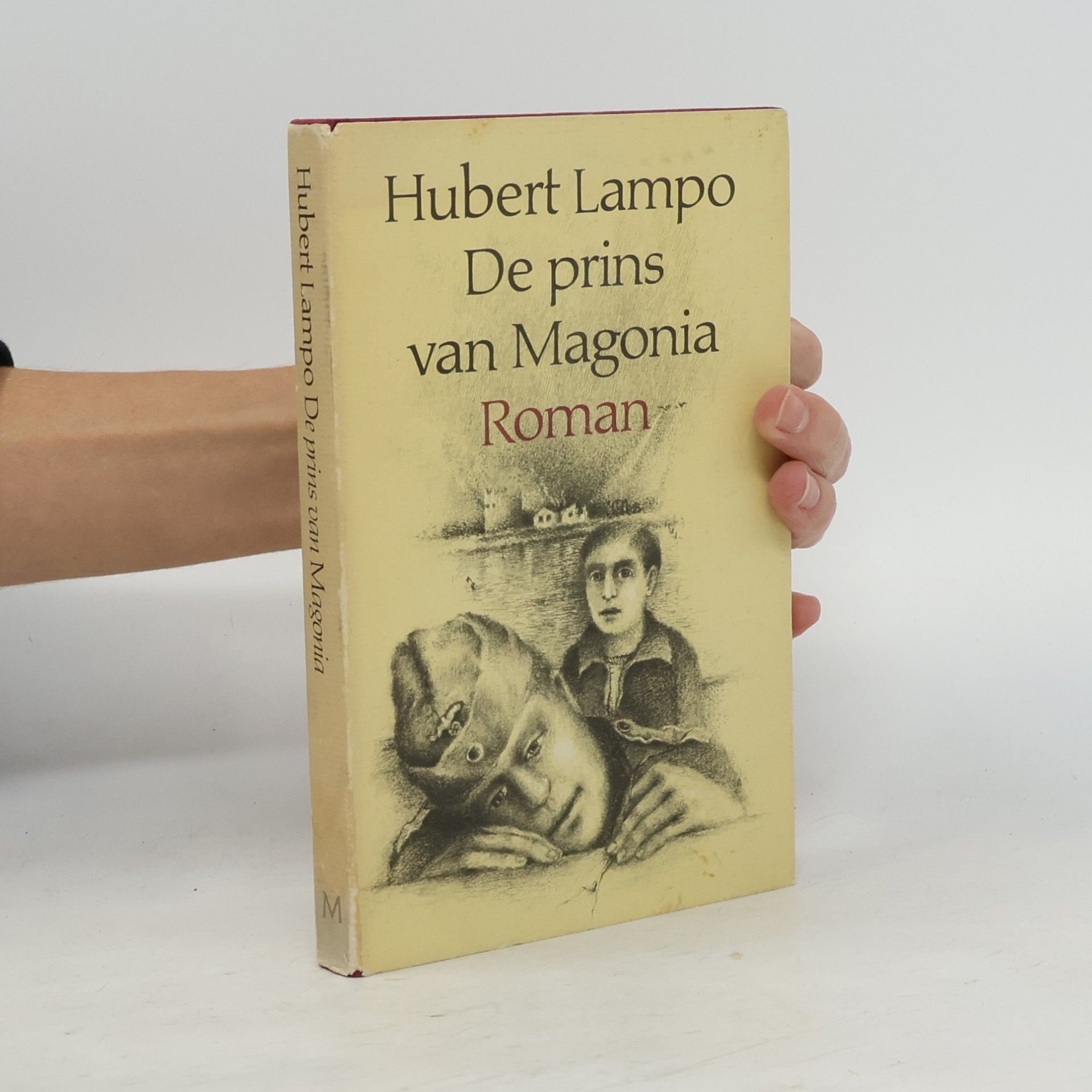 De prins van Magonia