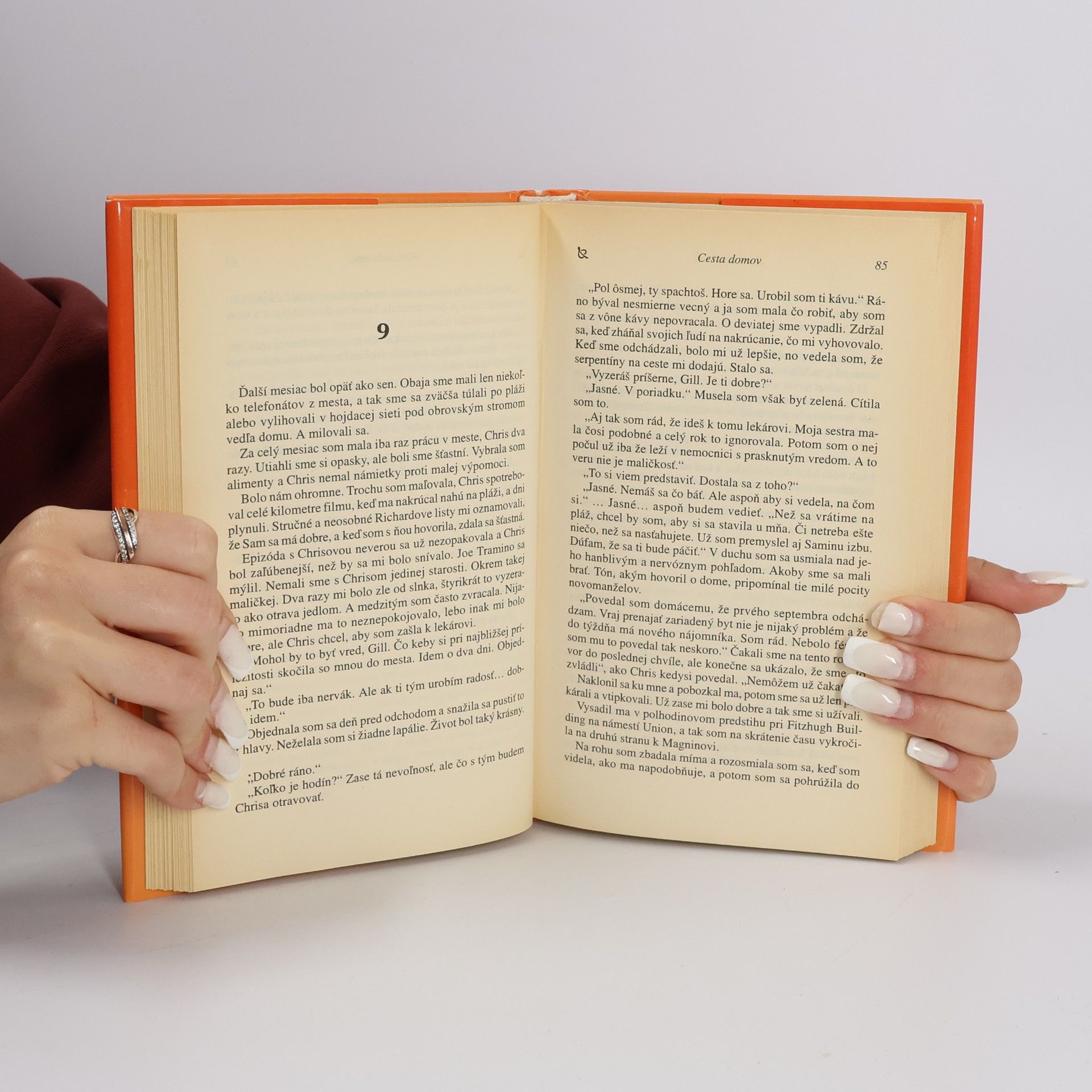 Danielle Steel Cesta domov