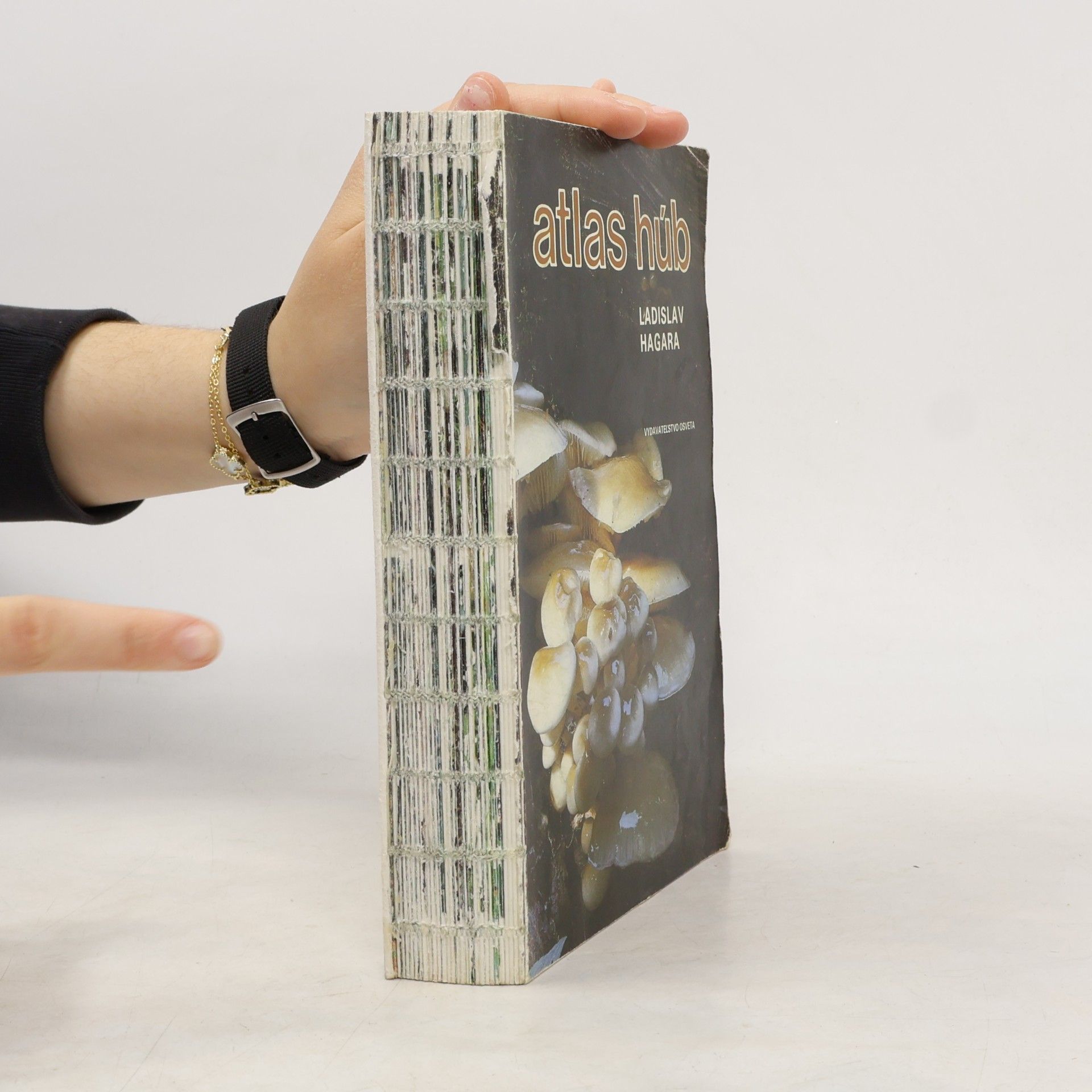 Ladislav Hagara Atlas húb