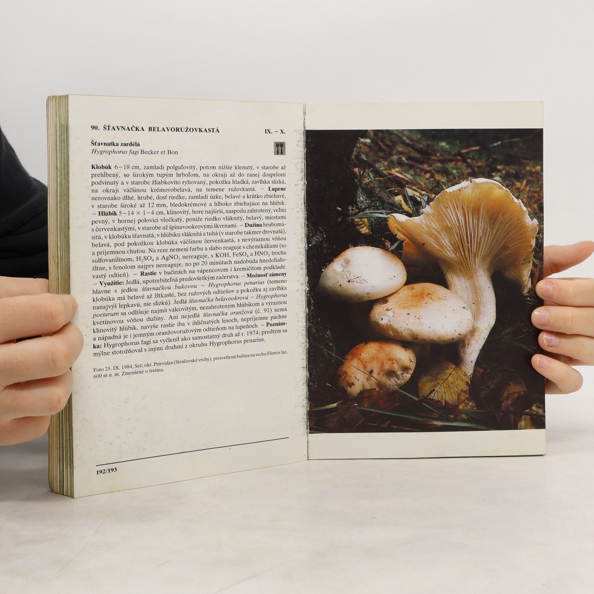 Ladislav Hagara Atlas húb