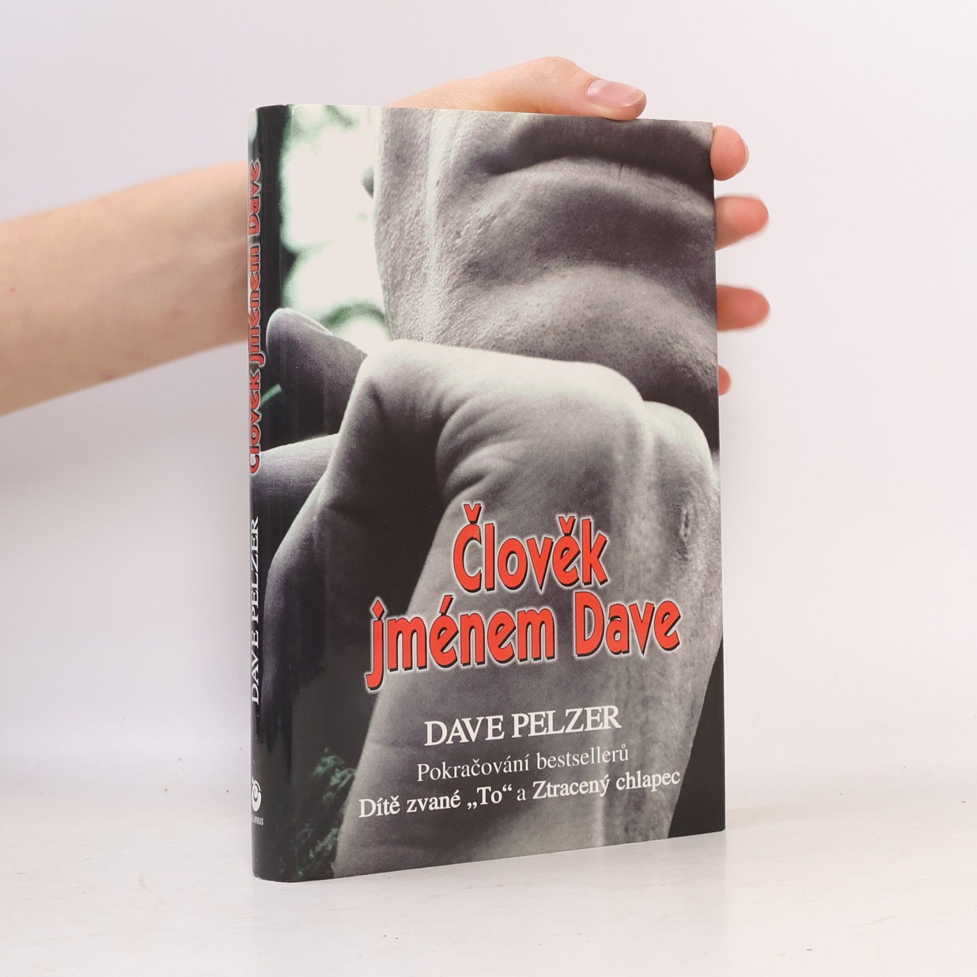 Člověk jménem Dave
