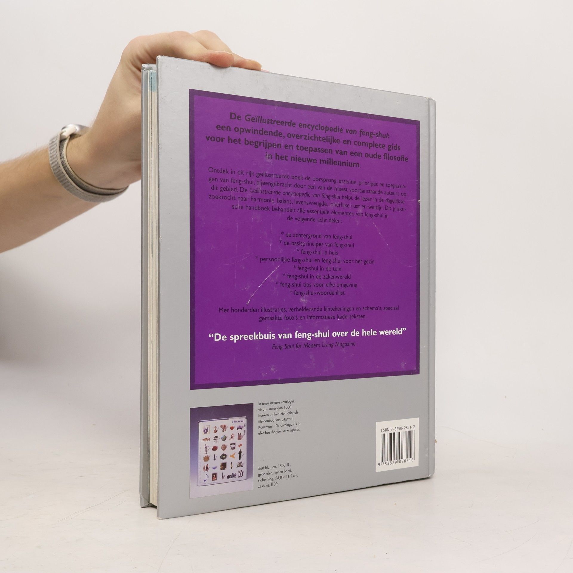 Lillian Too Geïllustreerde encyclopedie van Feng Shui