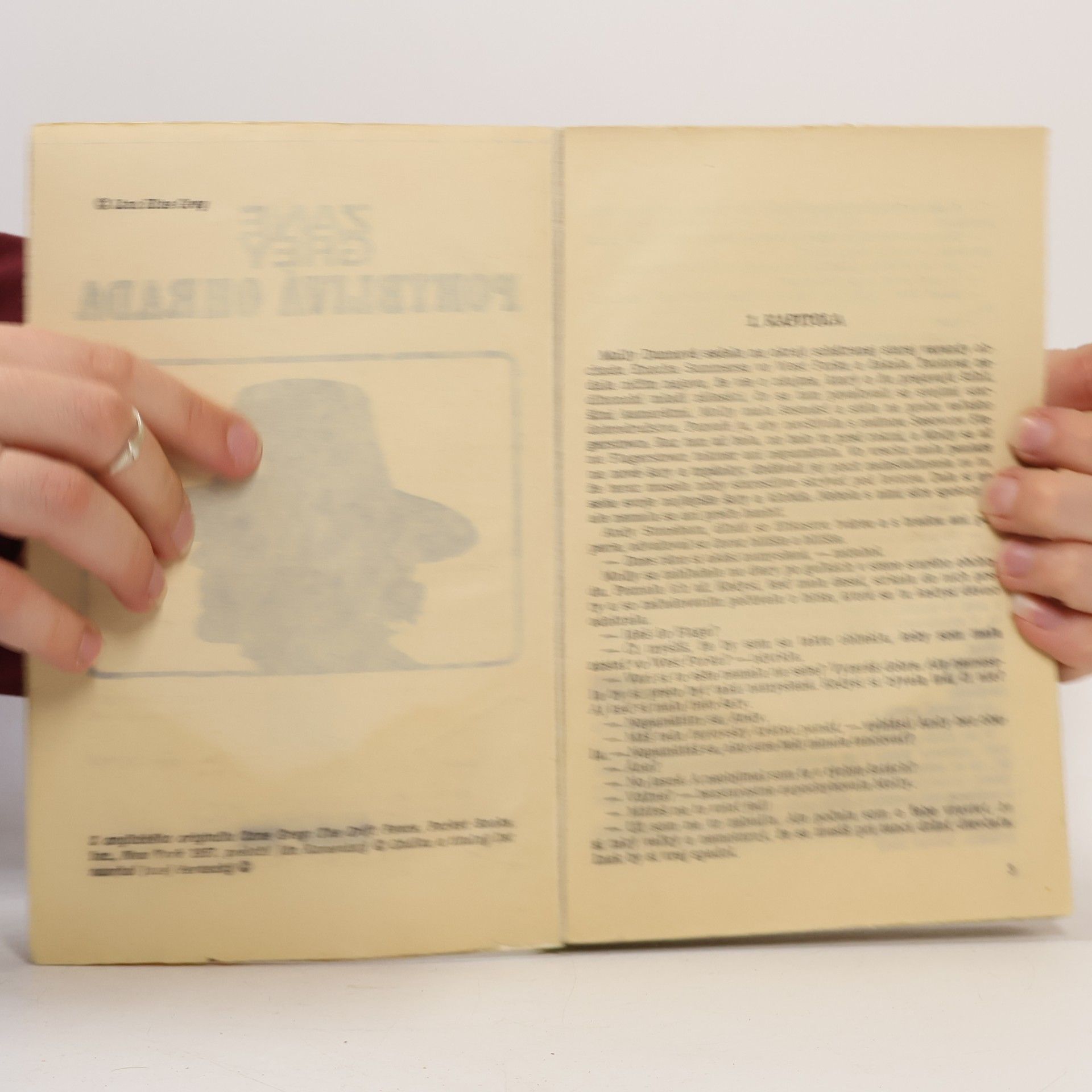 Zane Grey Pohyblivá ohrada