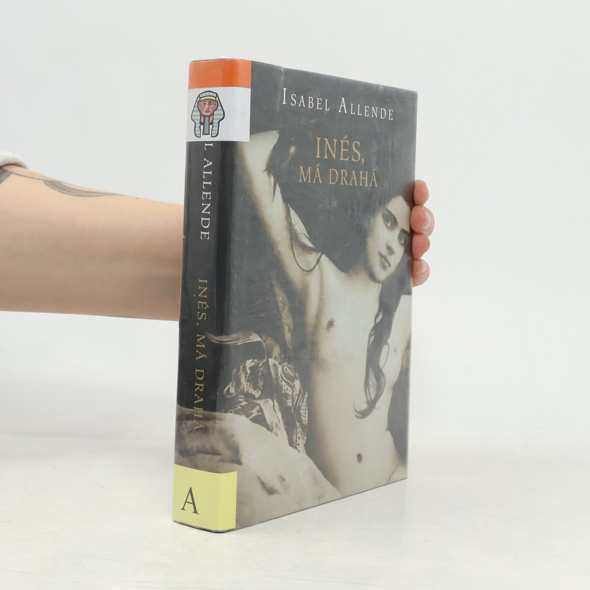 Isabel Allende Llona Inés, má drahá