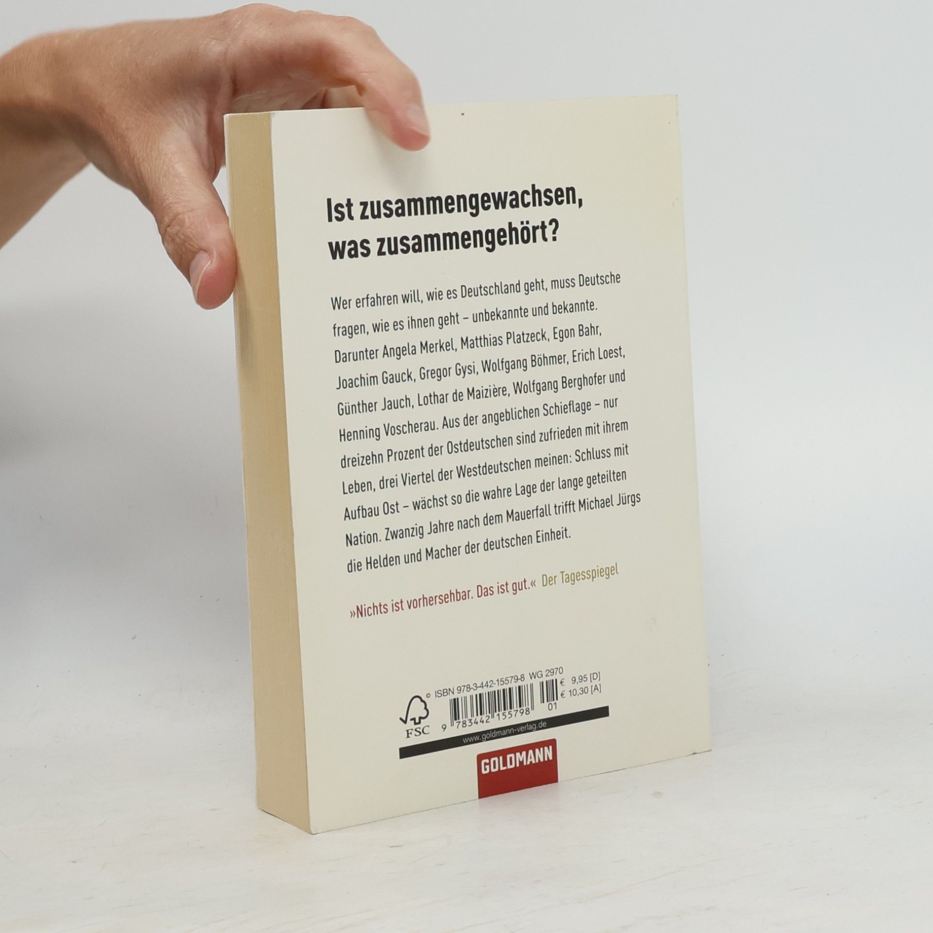 Michael Jürgs Wie geht's, Deutschland?