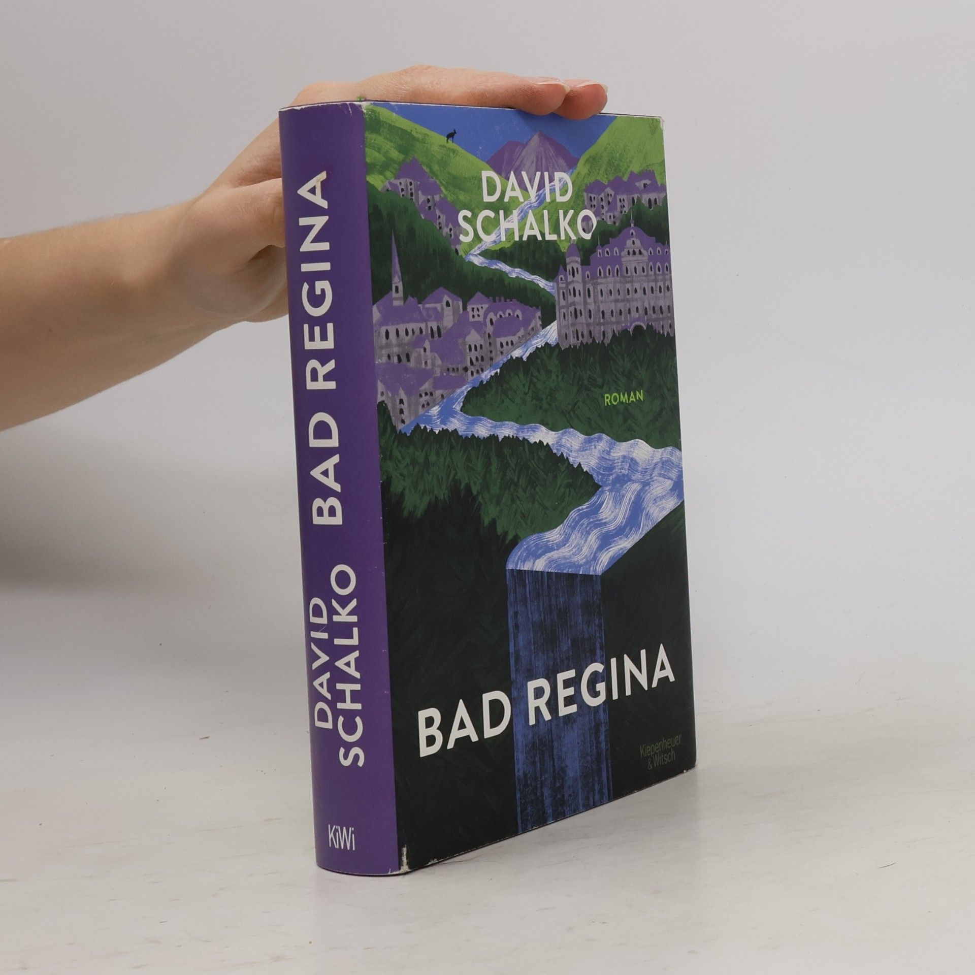 David Schalko Bad Regina