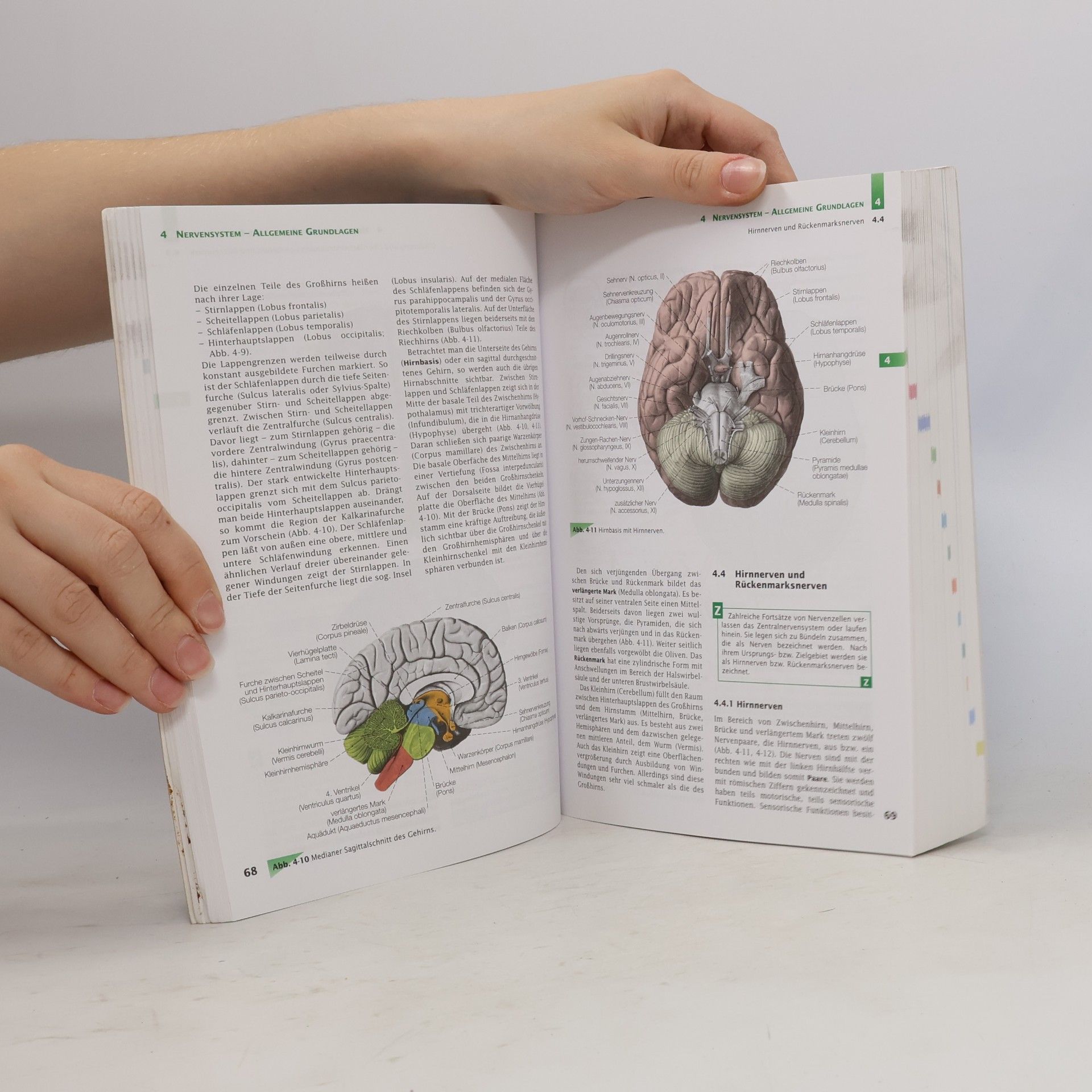 Erwin-Josef Speckmann Handbuch Anatomie