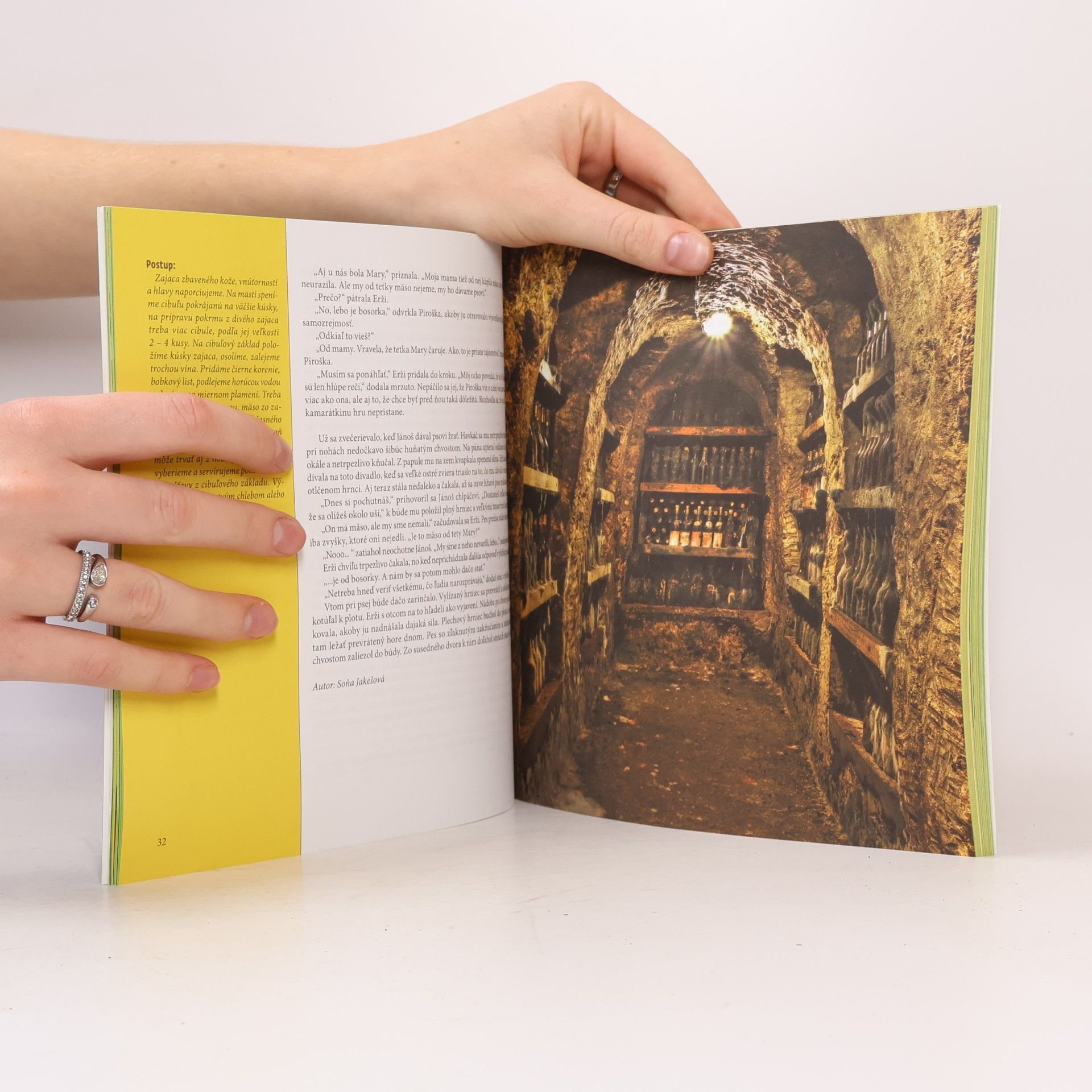 Various authors Príbehy z Tokaja / Tales from Tokaj