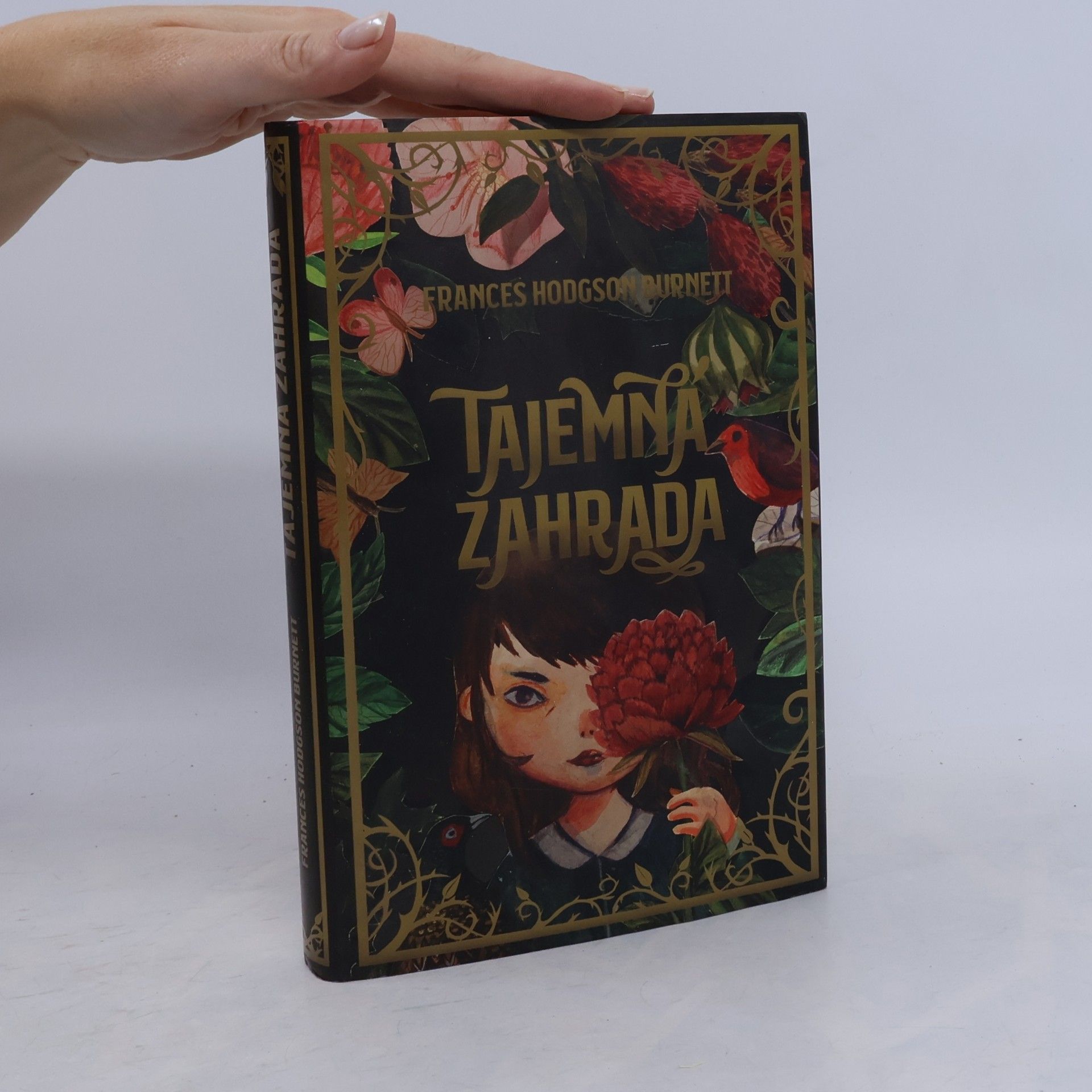 Frances Hodgson Burnett Tajemná zahrada