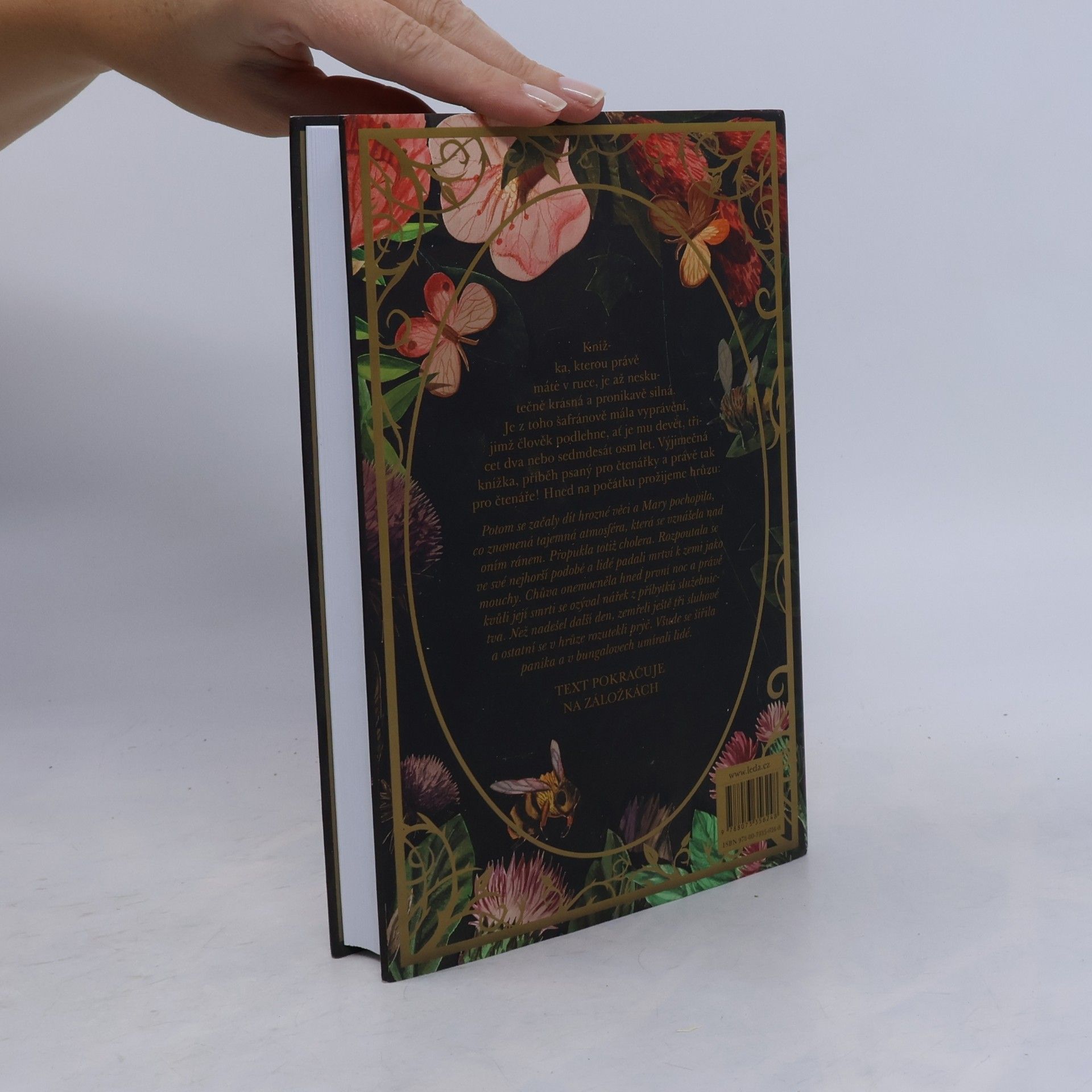 Frances Hodgson Burnett Tajemná zahrada