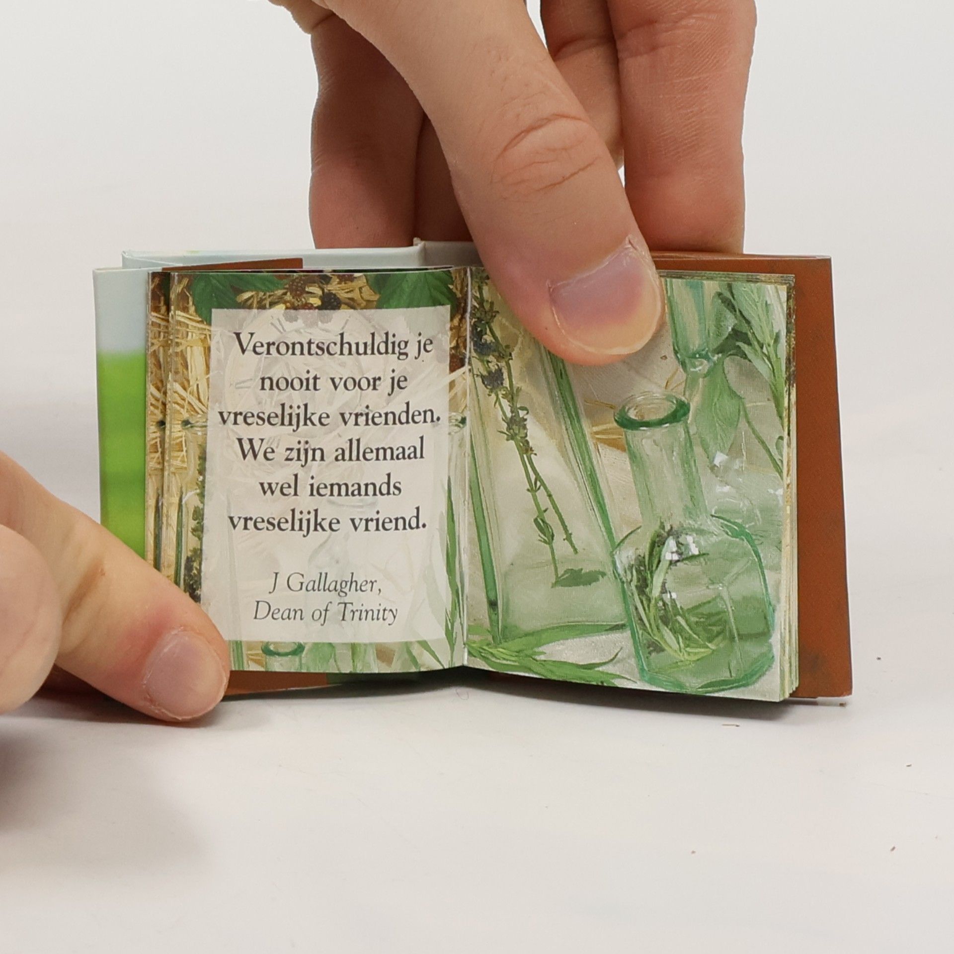Kolektiv autorů Een boekje over vriendschap