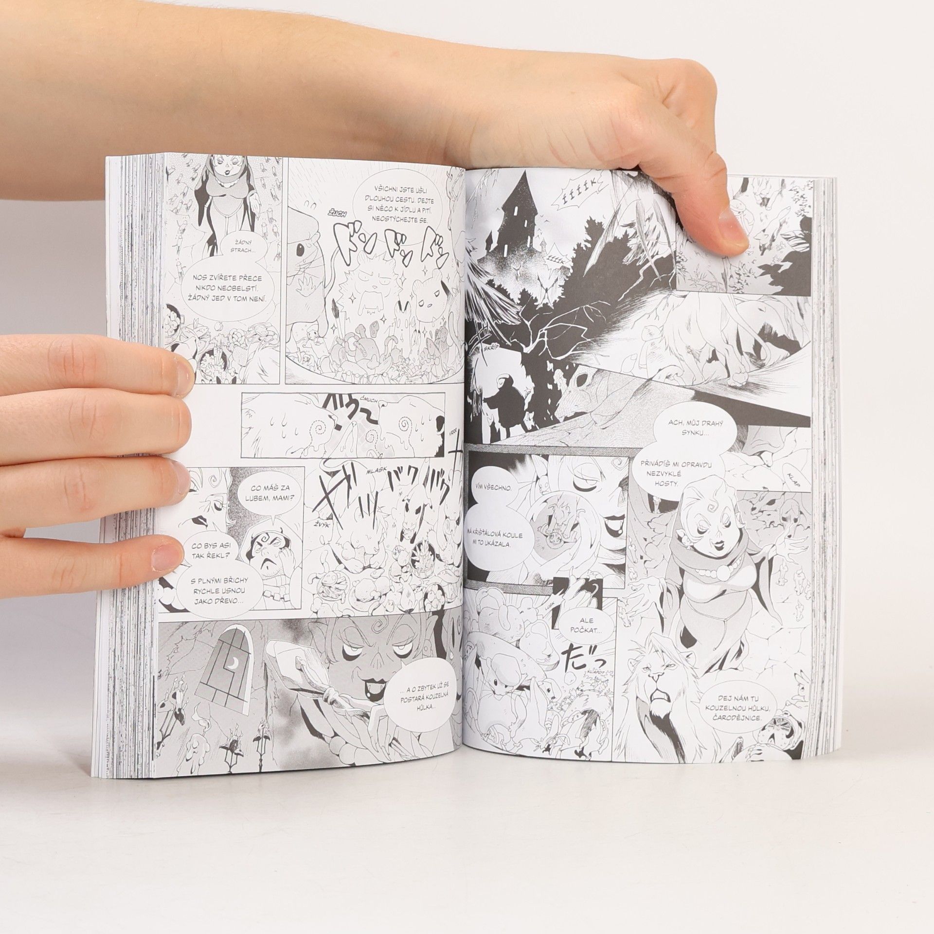 Kei Ishiyama Manga příběhy bratří Grimmů
