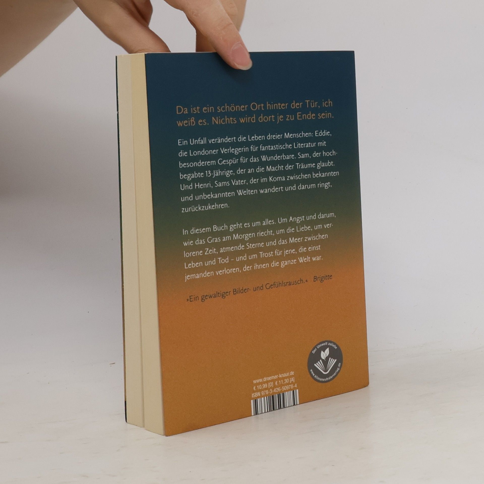 Nina George Das Traumbuch
