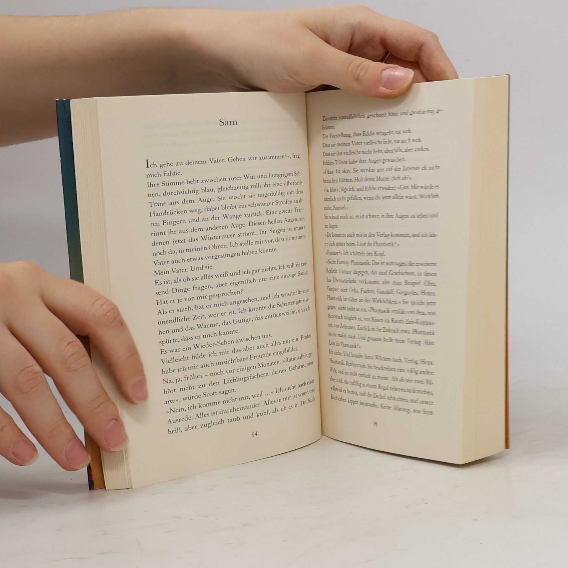 Nina George Das Traumbuch
