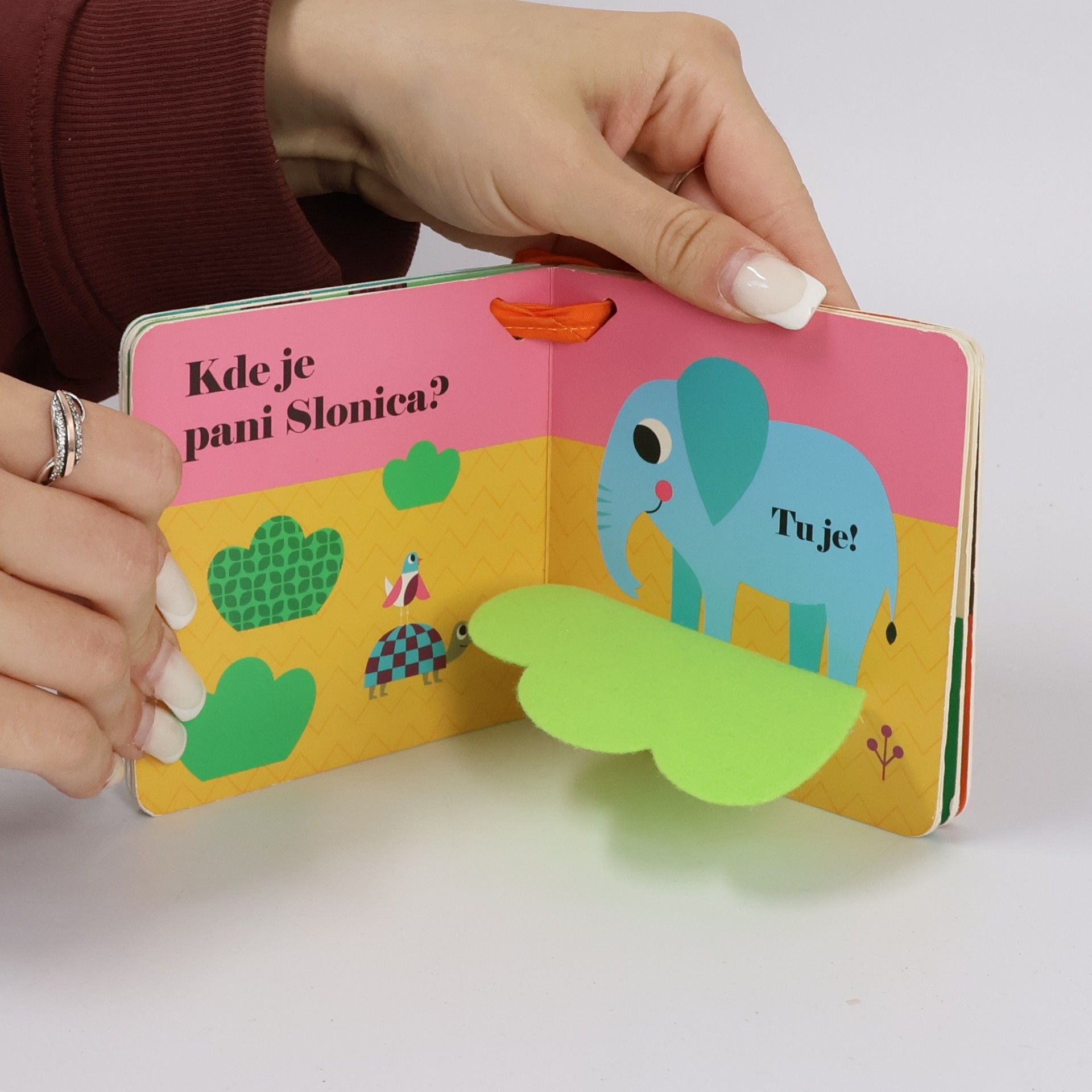 Ingela Peterson Arrhenius Kde je pán Lev? Knižka do kočíka