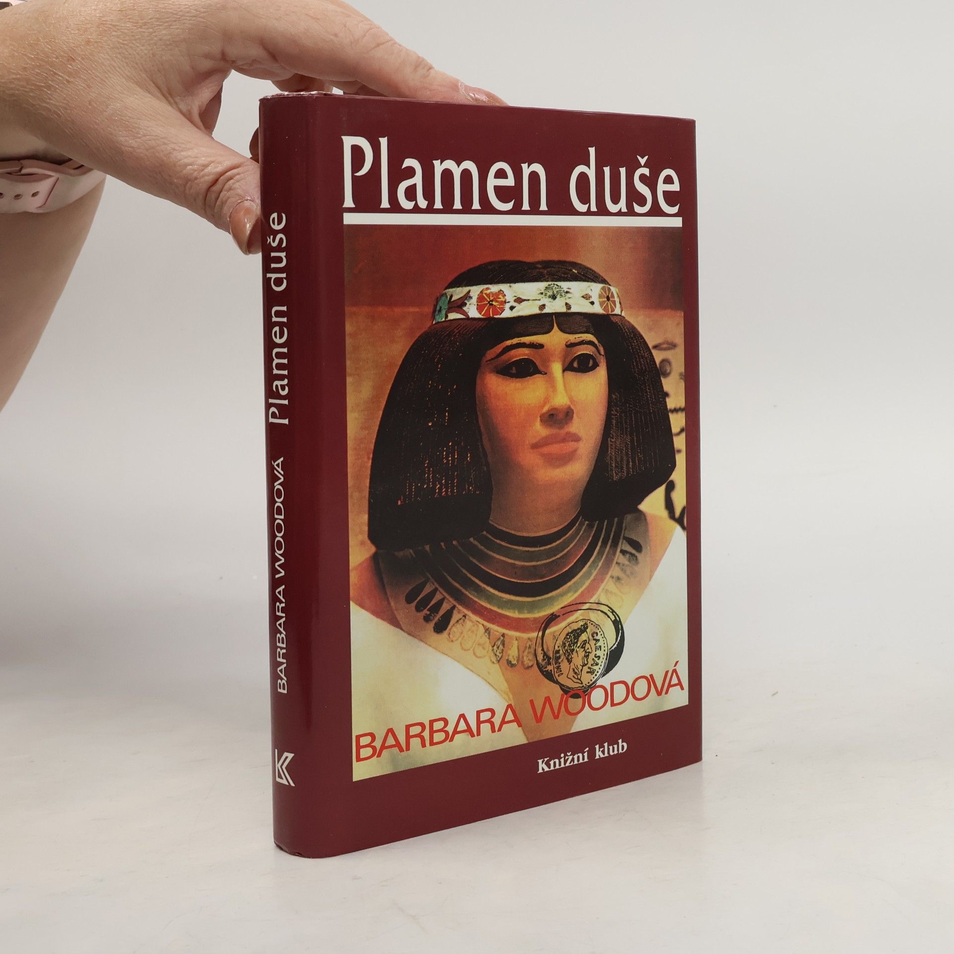 Barbara Wood Plamen duše