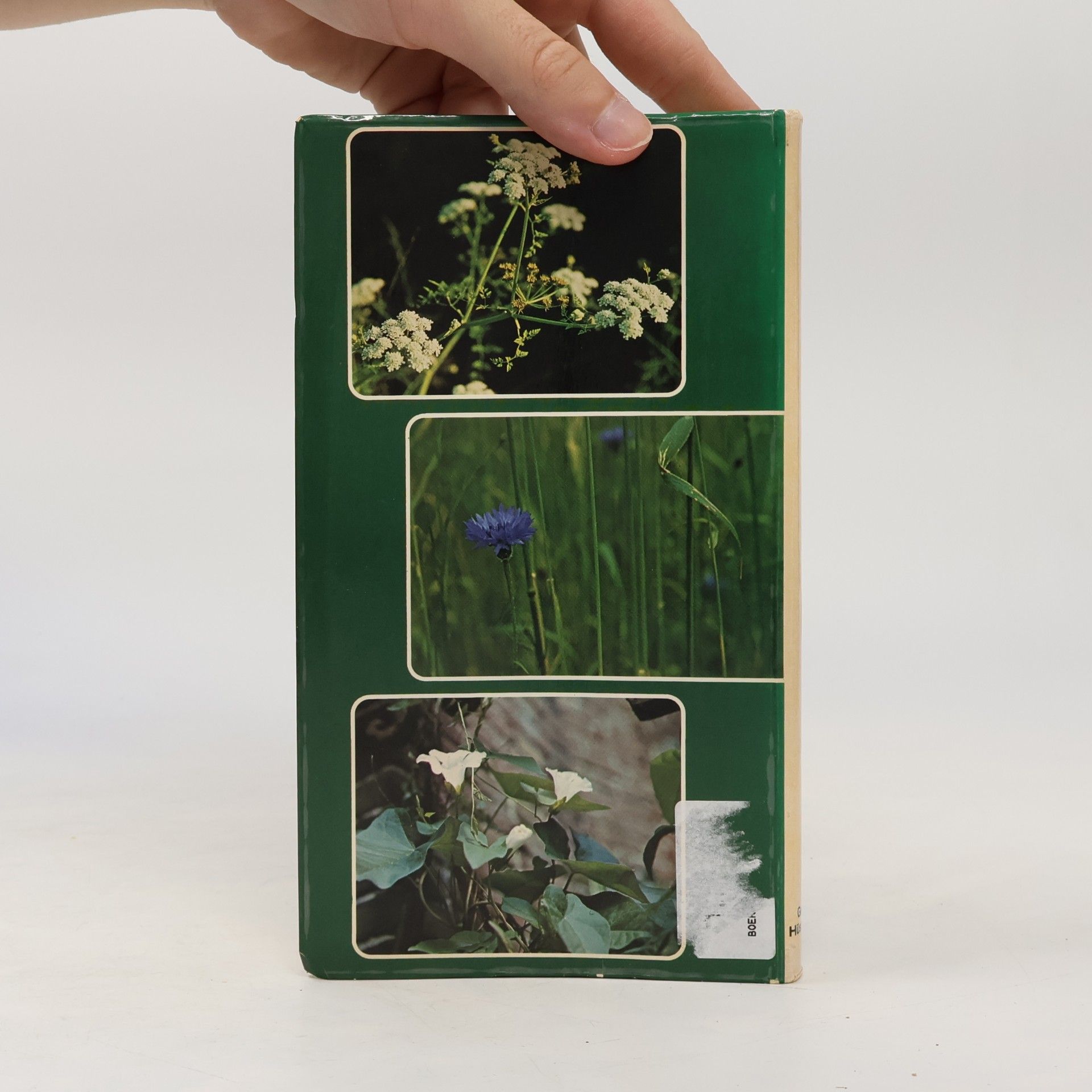 Geert Hüsstege Helmond flora serie: Zakflora weg en wei