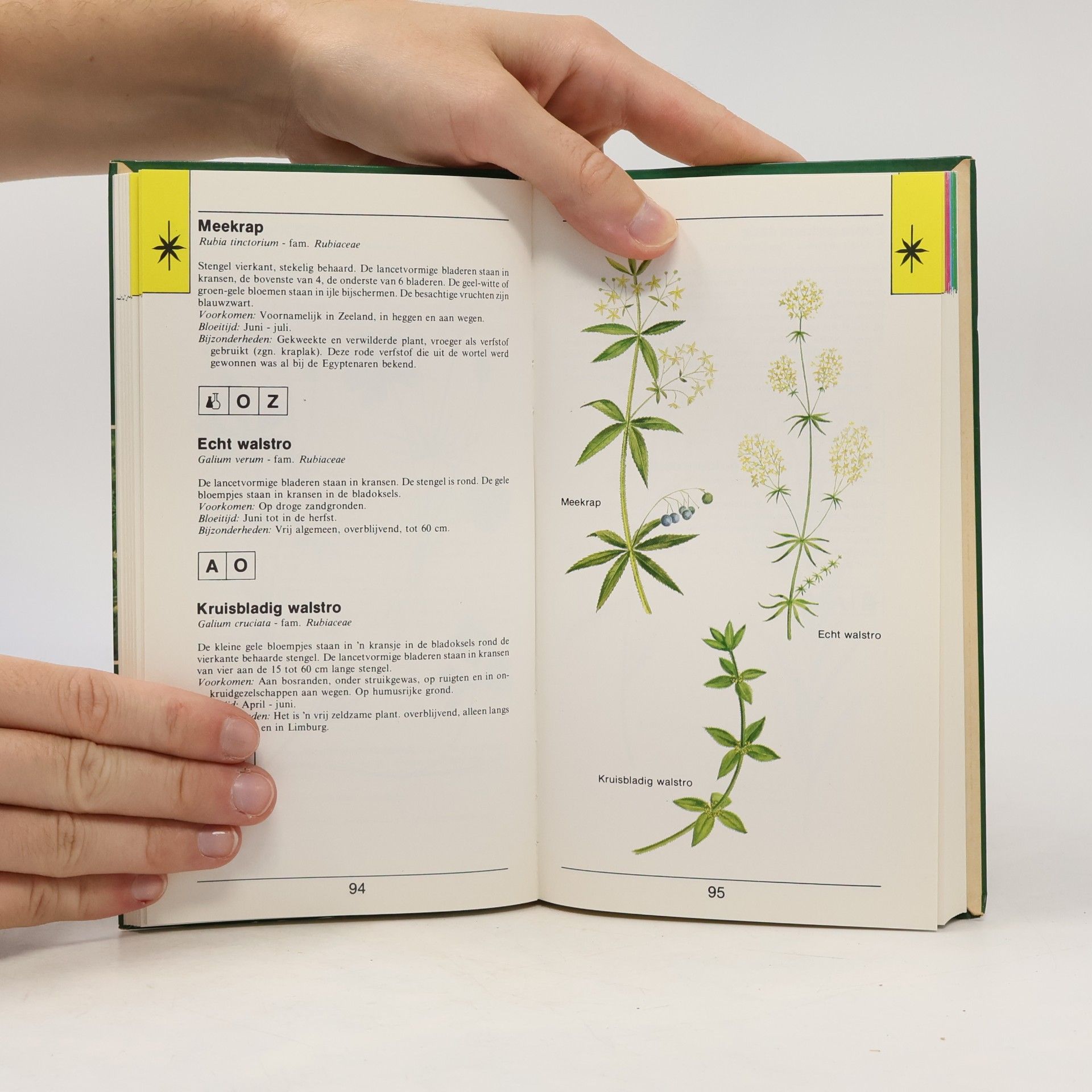 Geert Hüsstege Helmond flora serie: Zakflora weg en wei