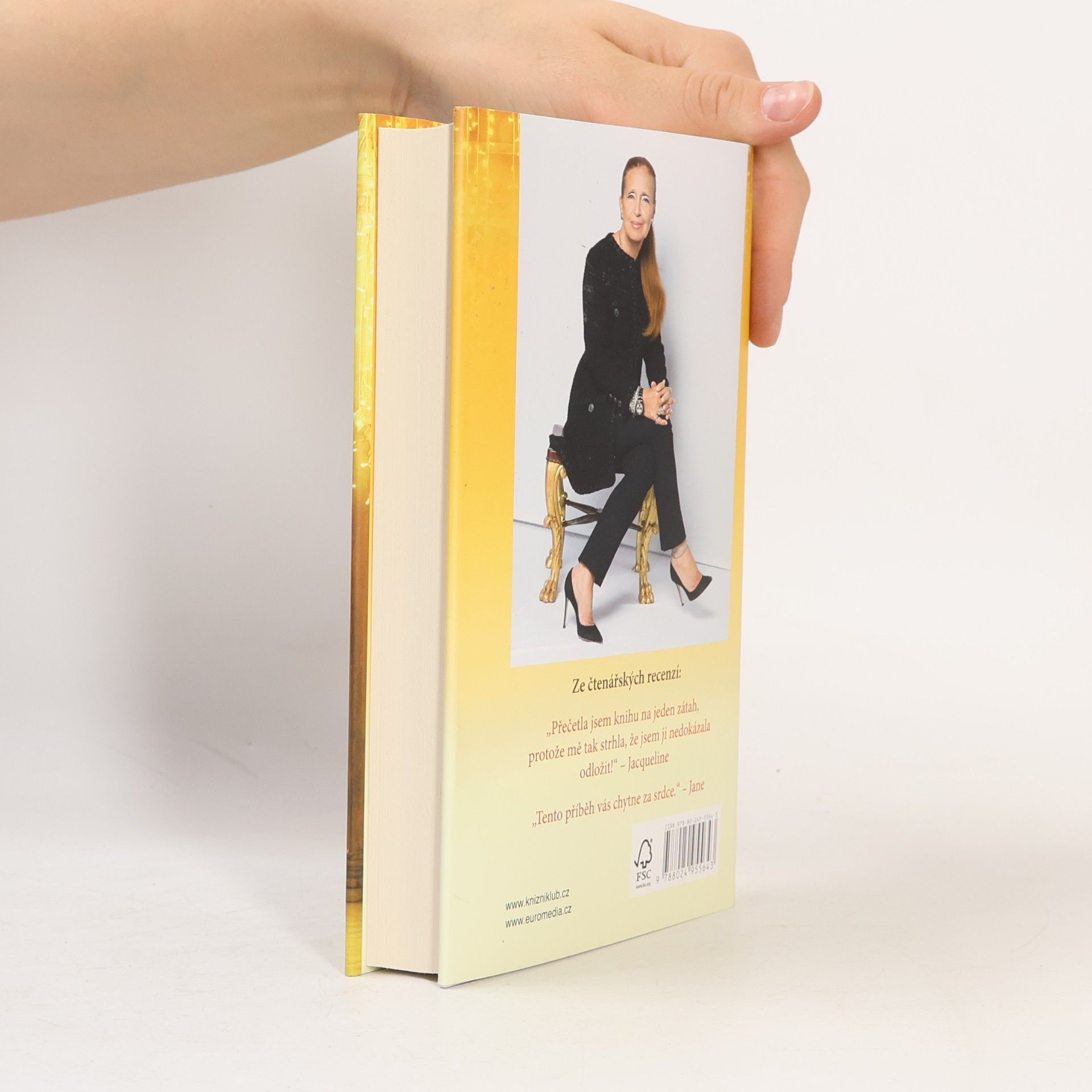 Danielle Steel Všechno, co se třpytí