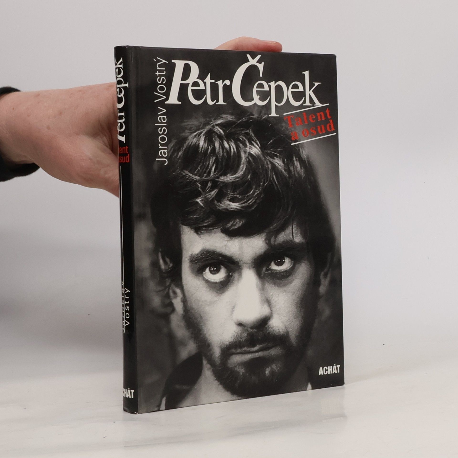 Petr Čepek. Talent a osud