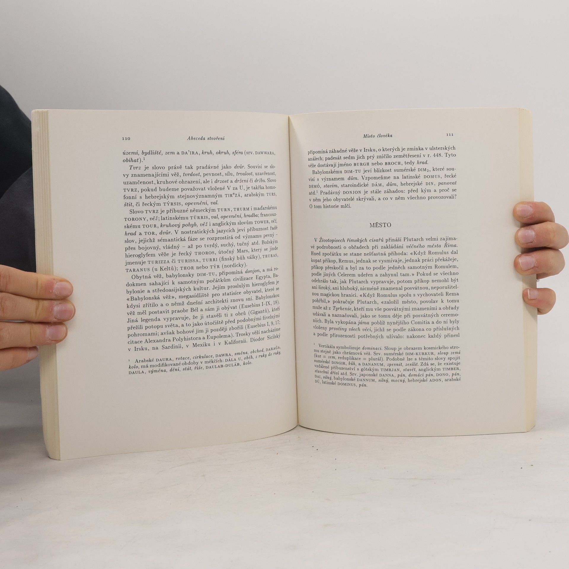 D. Ž. Bor Abeceda stvoření : komorní soubor mýtoetymologických esejů o povstání člověka, jazyků, náboženství, kultury a civilizace
