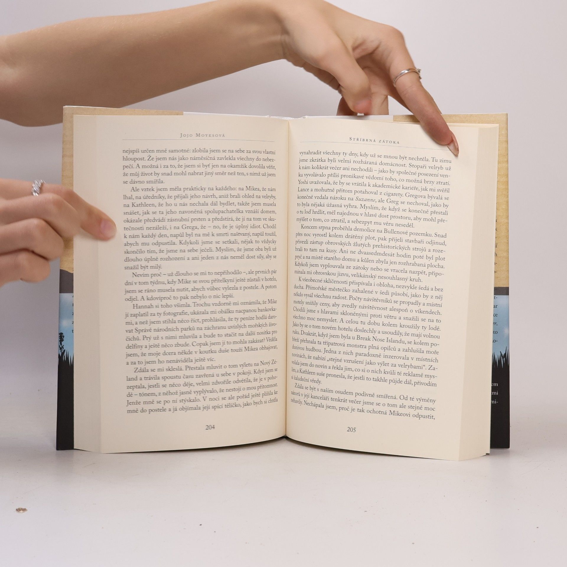 Jojo Moyes Stříbrná zátoka