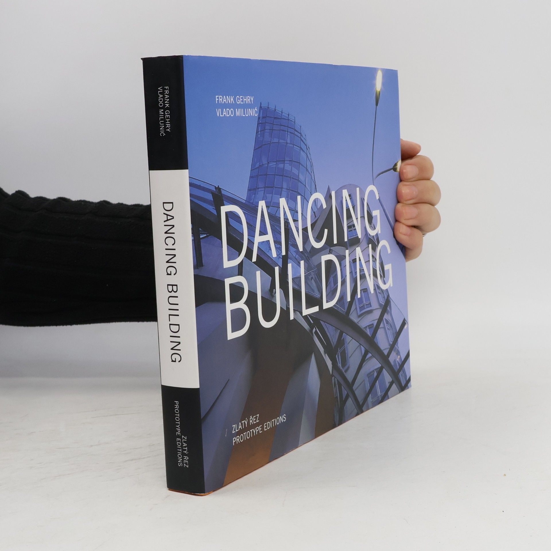 Irena Fialová Dancing Building
