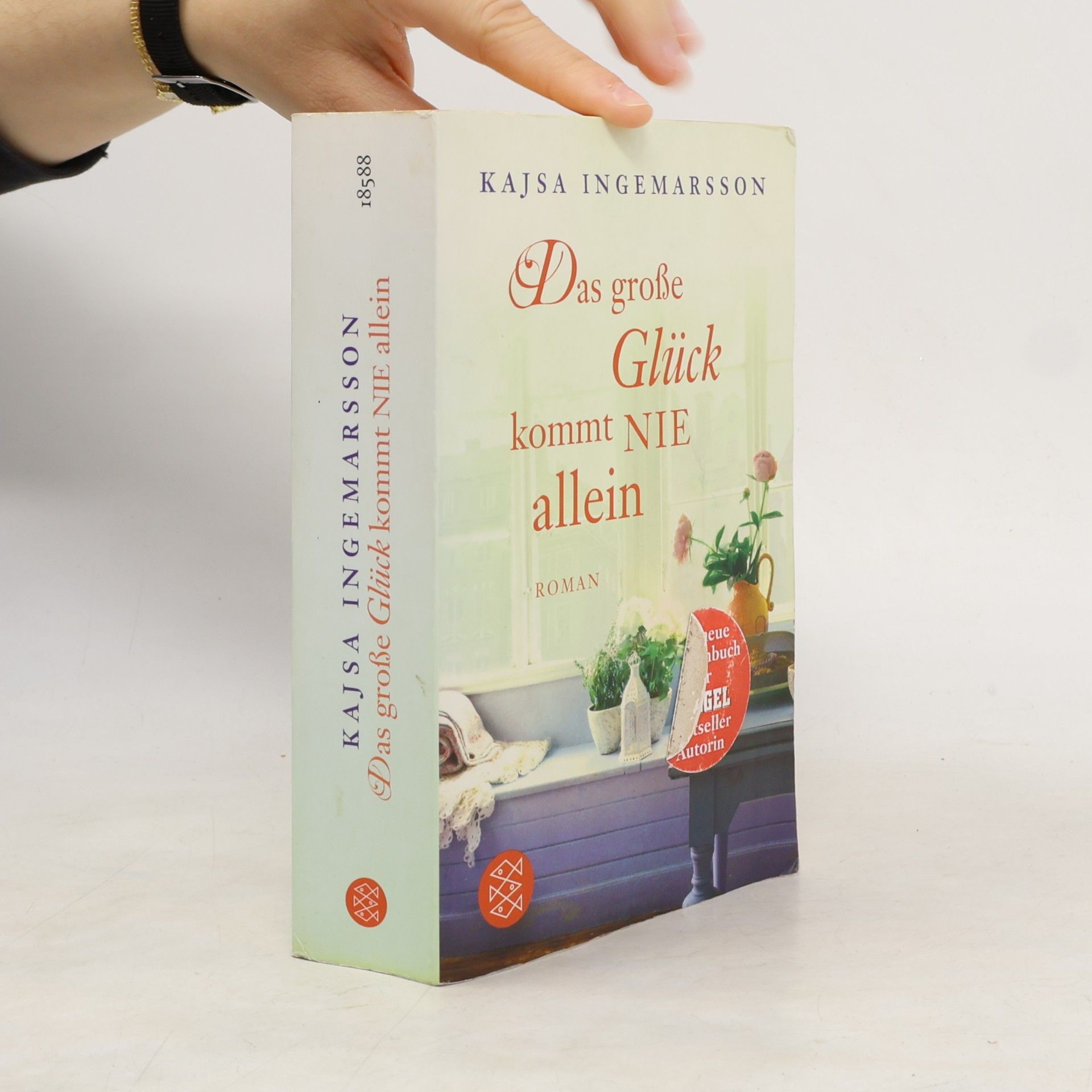 Kajsa Ingemarsson Das grose Glück kommt nie allein