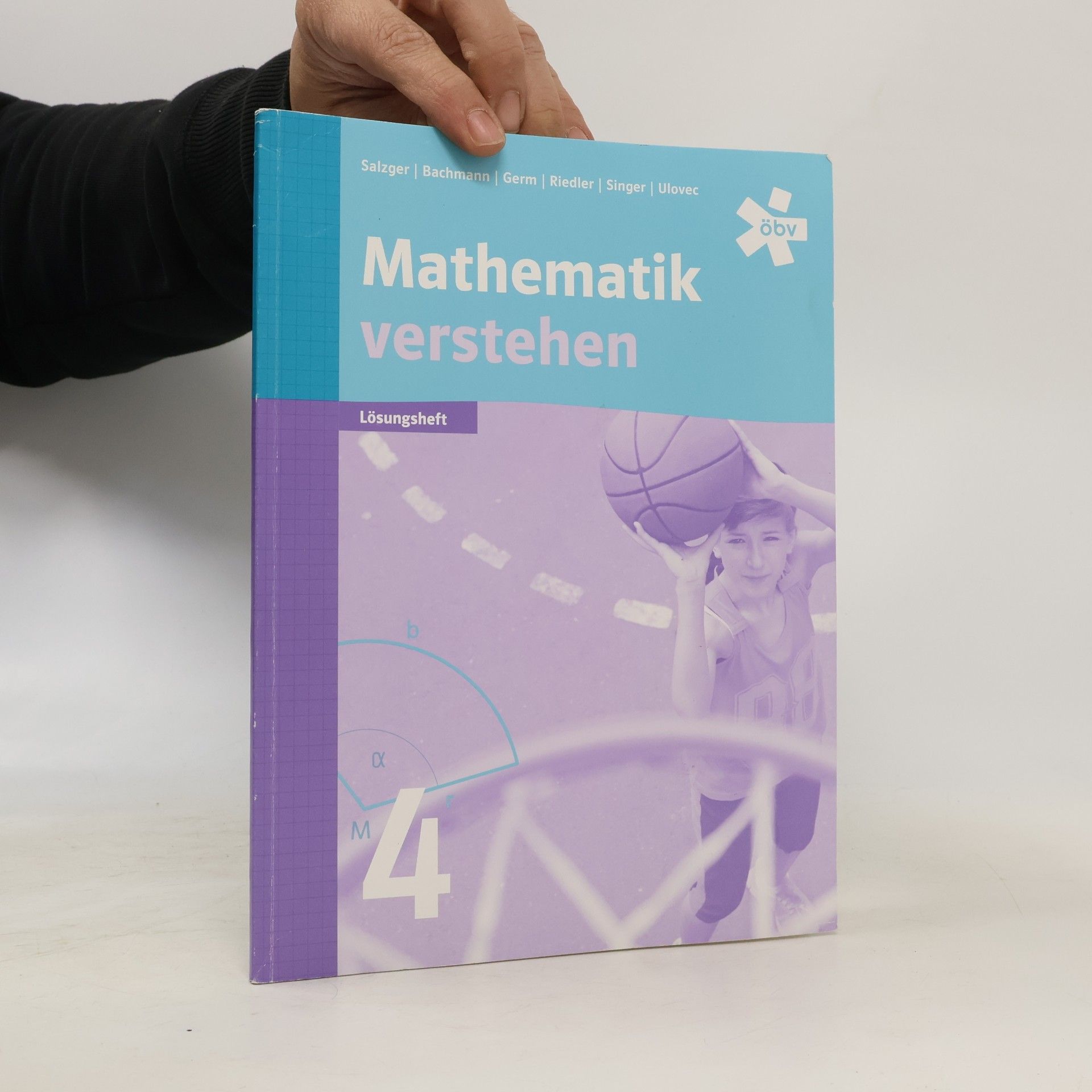 Bernhard Salzger Mathematik verstehen