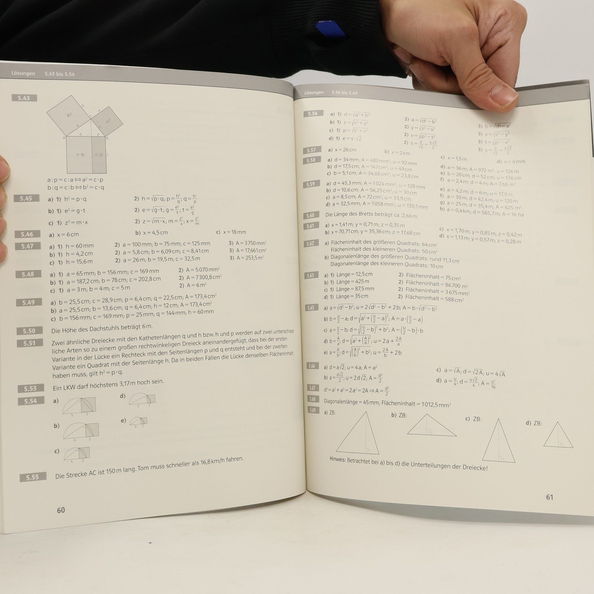 Judith Bachmann Mathematik verstehen