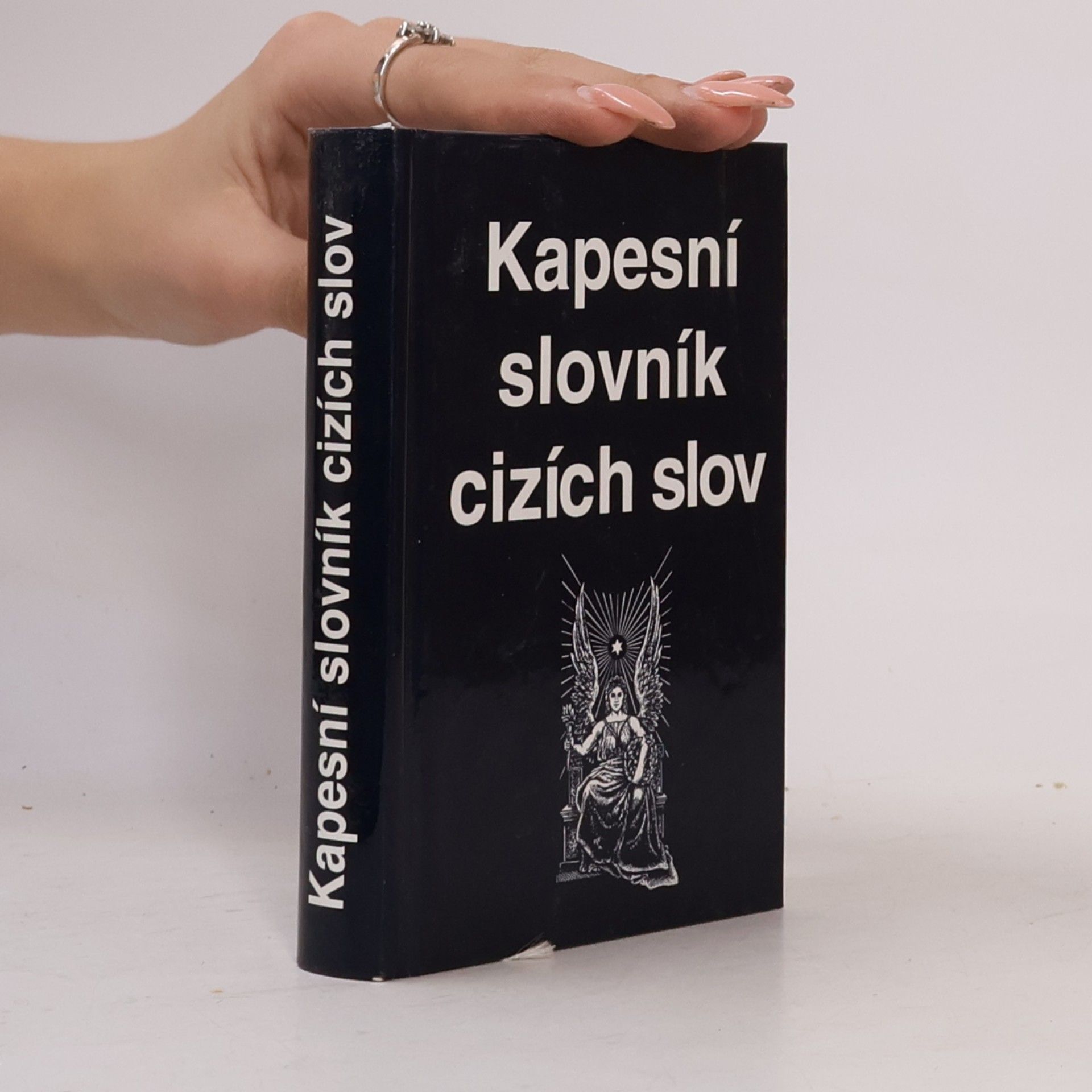 Kolektív autorov Kapesní slovník cizích slov
