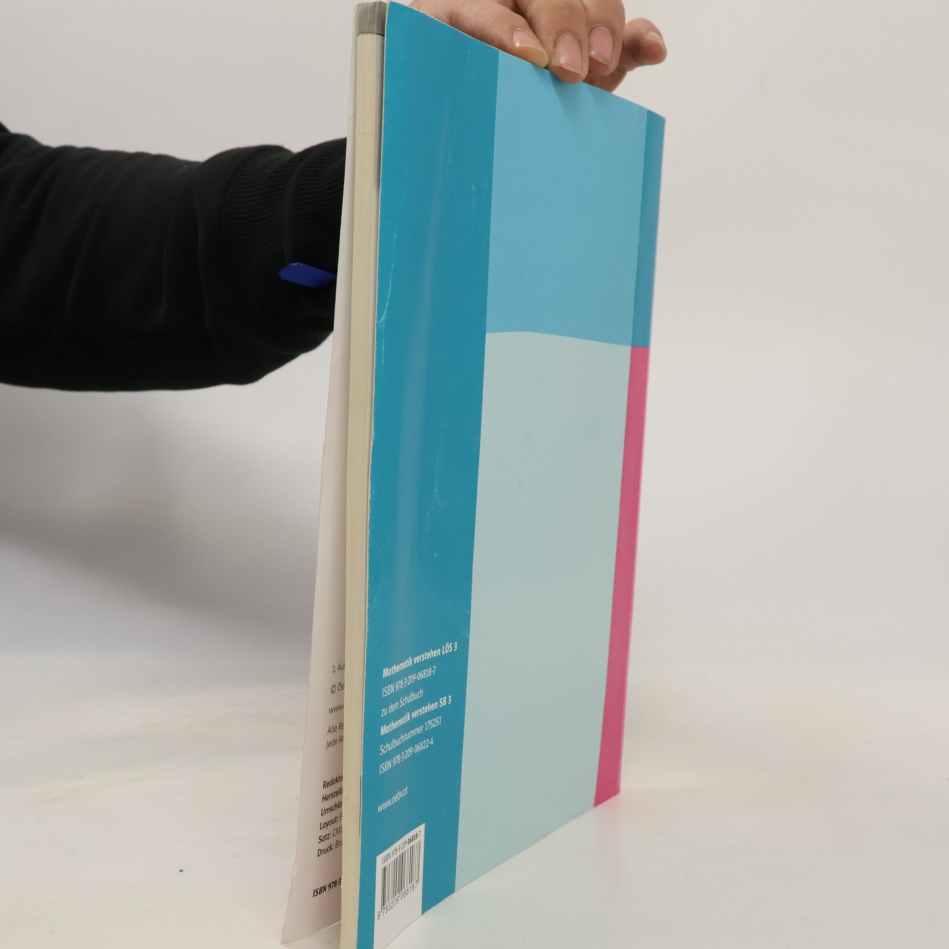Autores varios Mathematik verstehen
