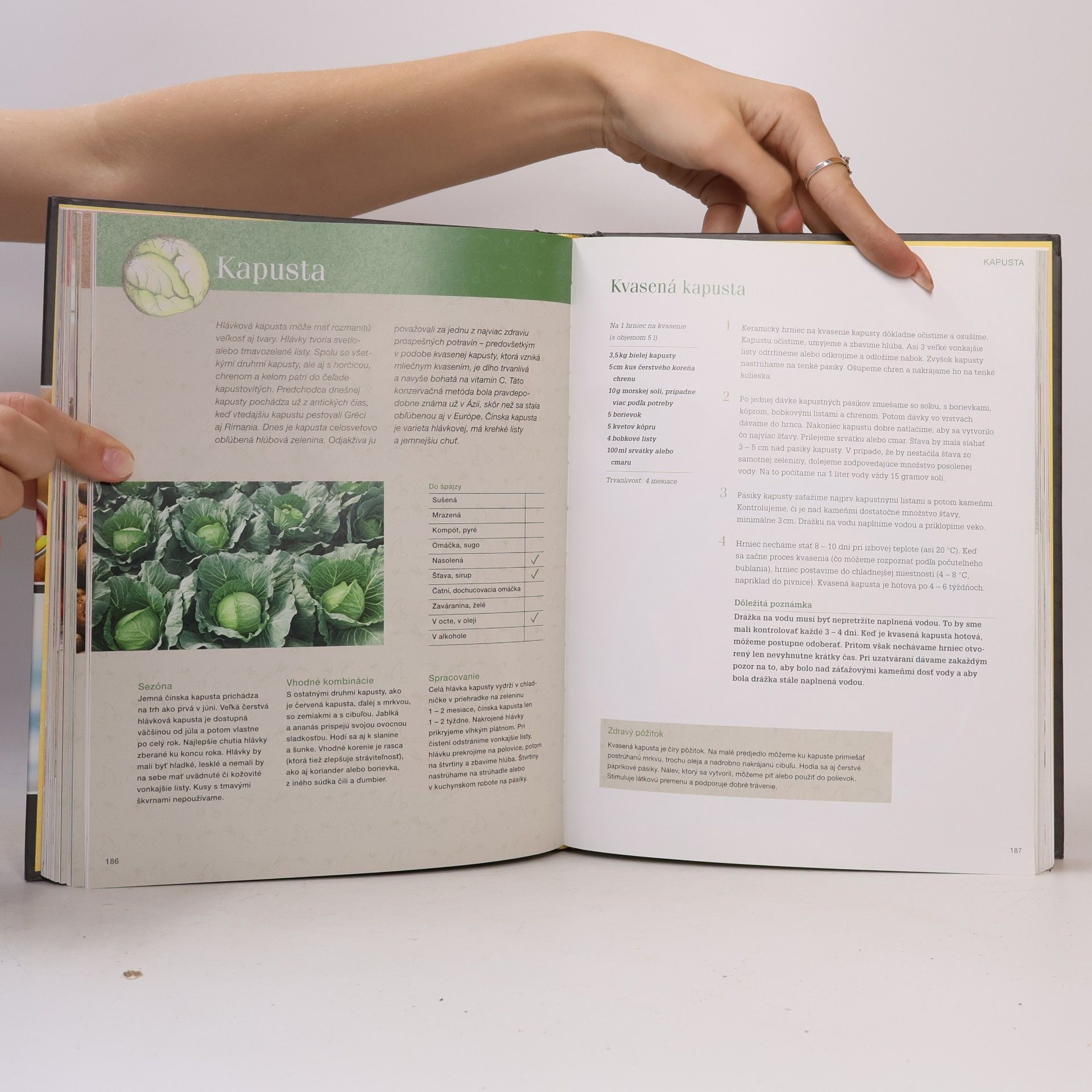 Autorenkollektiv Domáce dobroty z prírodných ingrediencií