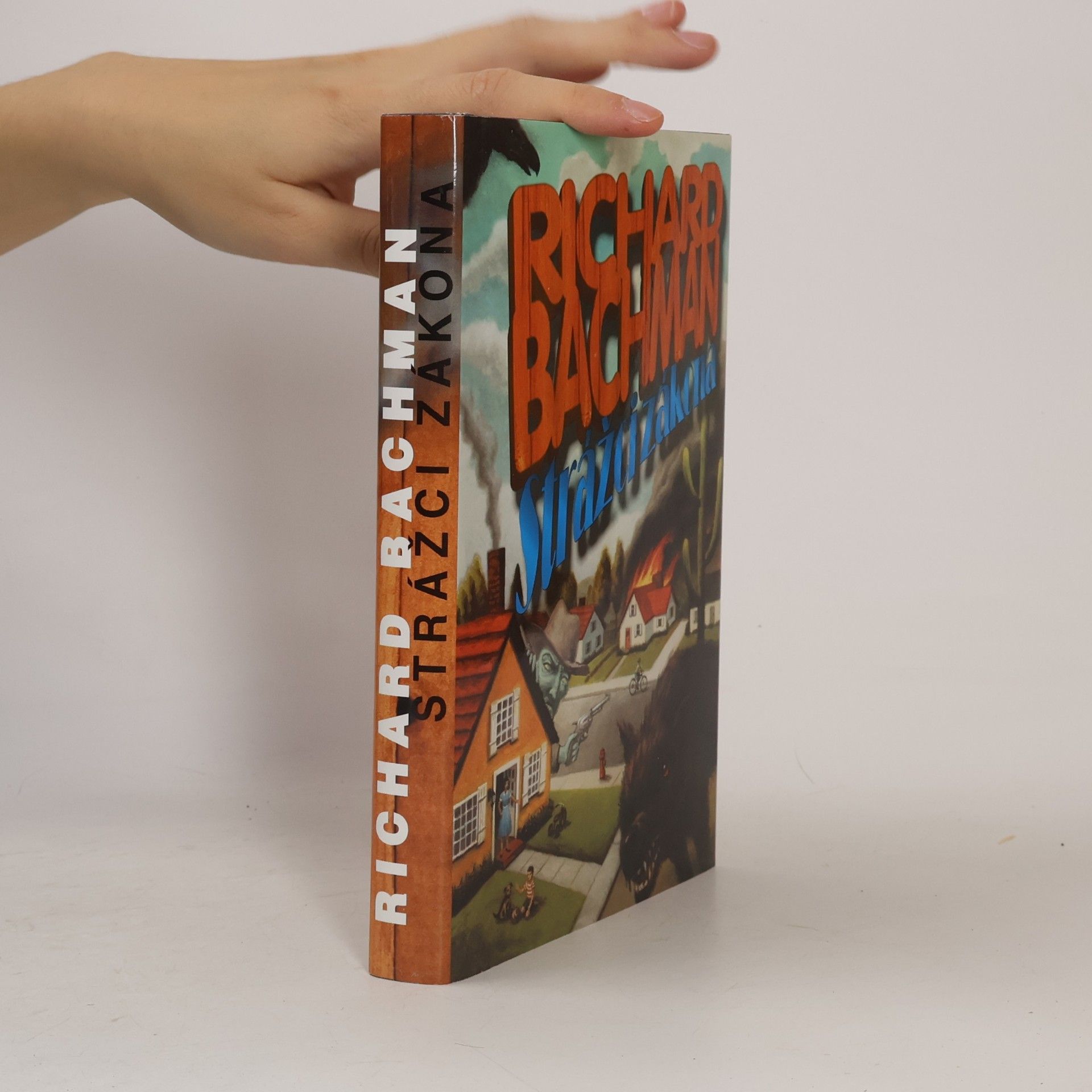 Stephen King Strážci zákona
