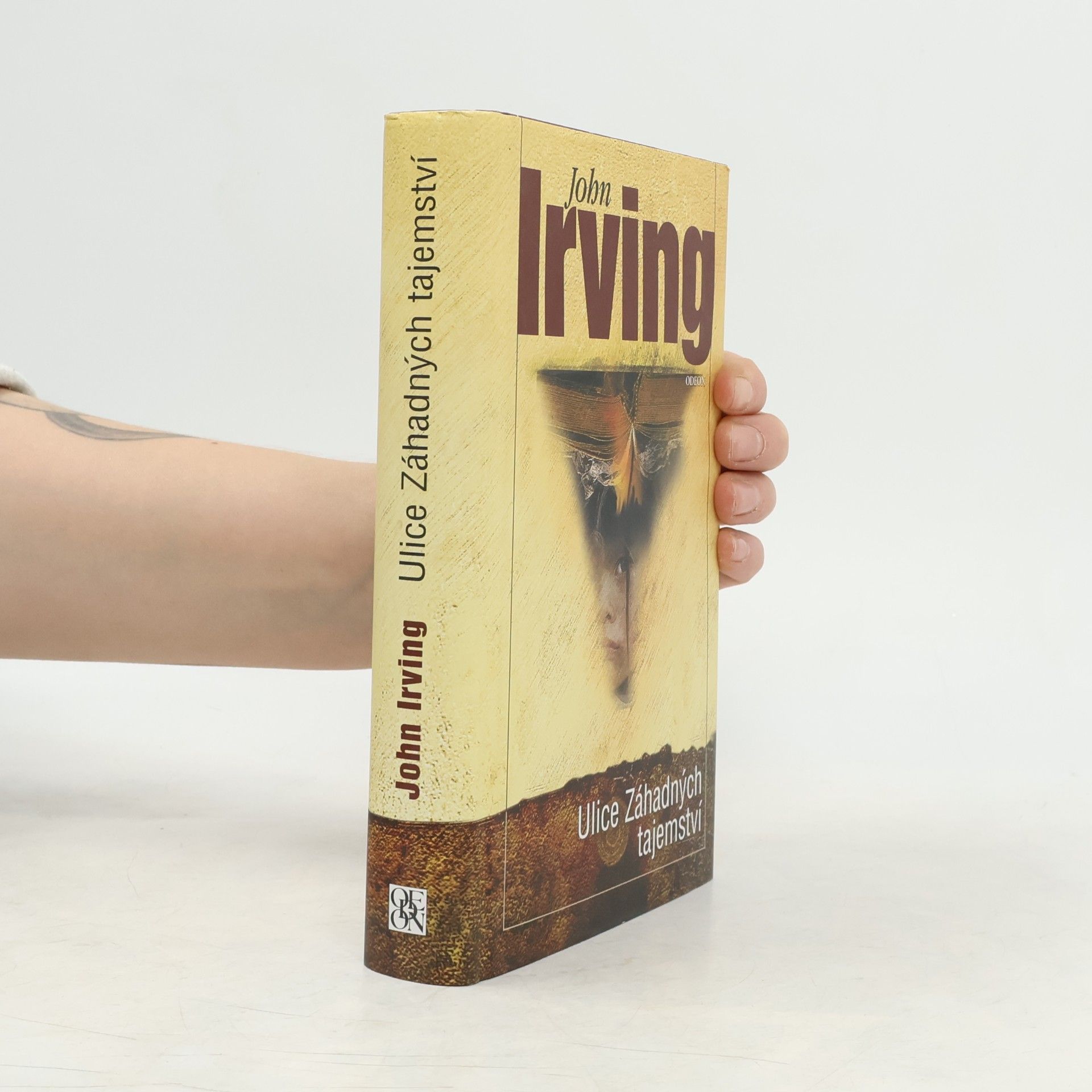 John Irving Ulice Záhadných tajemství