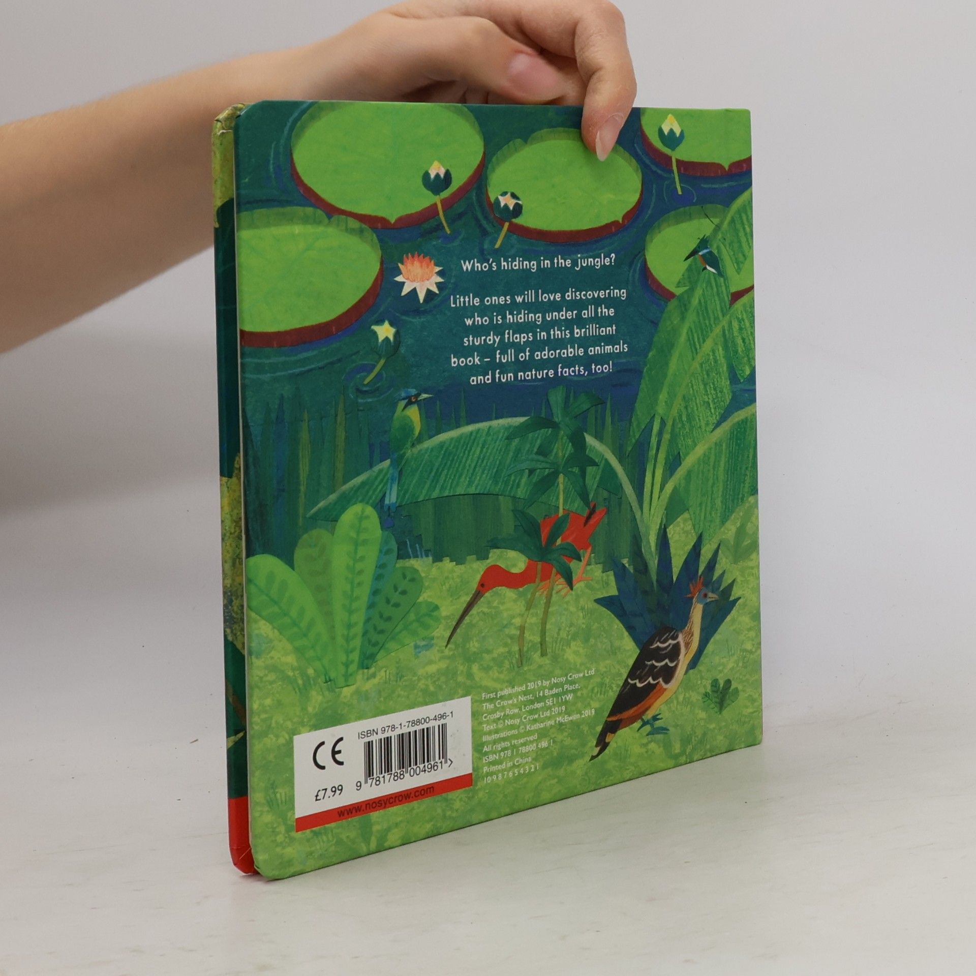Katharine McEwen Who's Hiding in the Jungle?