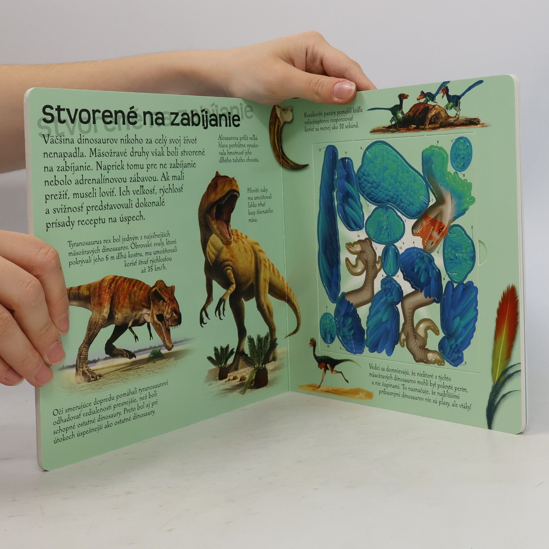 Lee Montgomery Vymodeluj si dinosaura