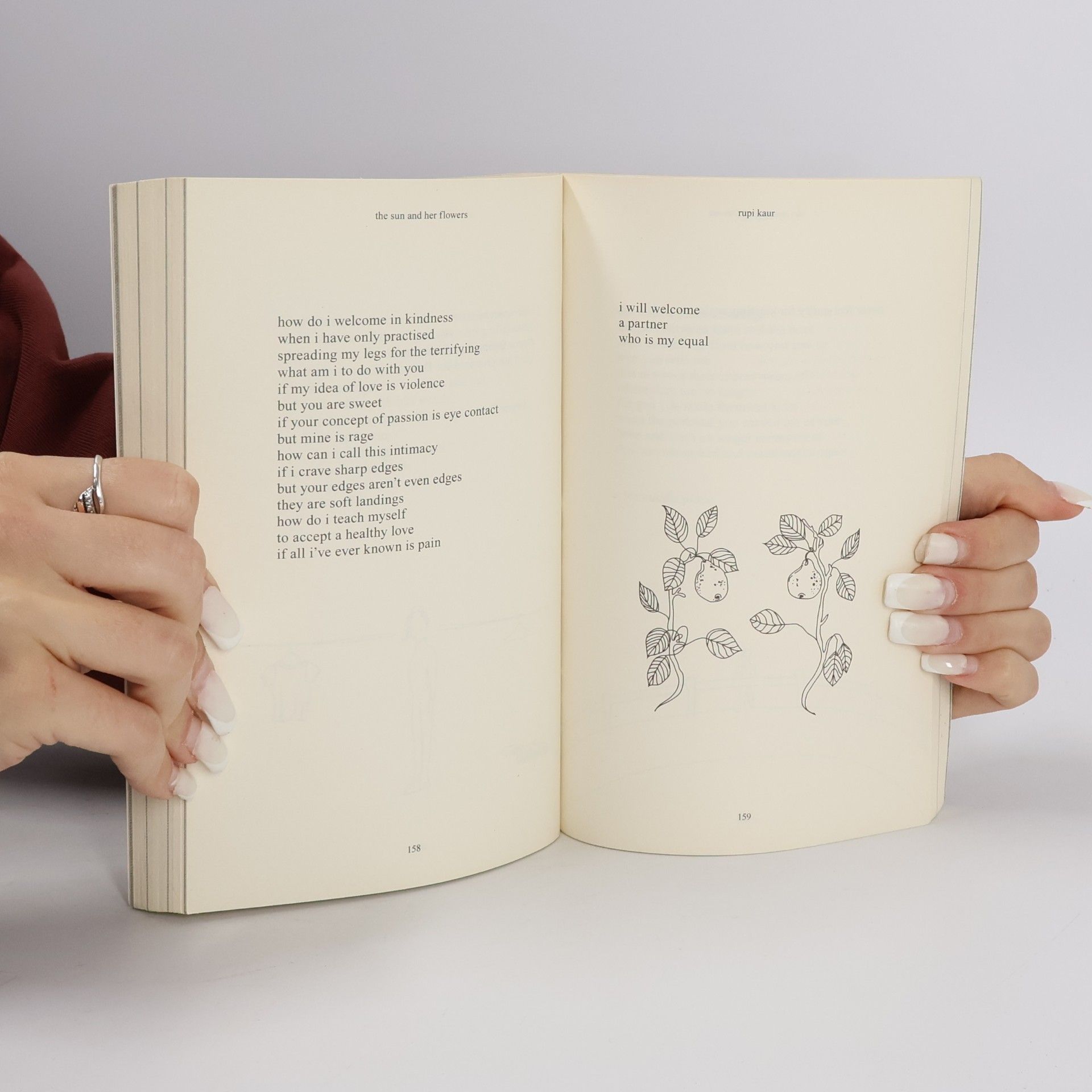 Rupi Kaur The Sun And Her Flowers