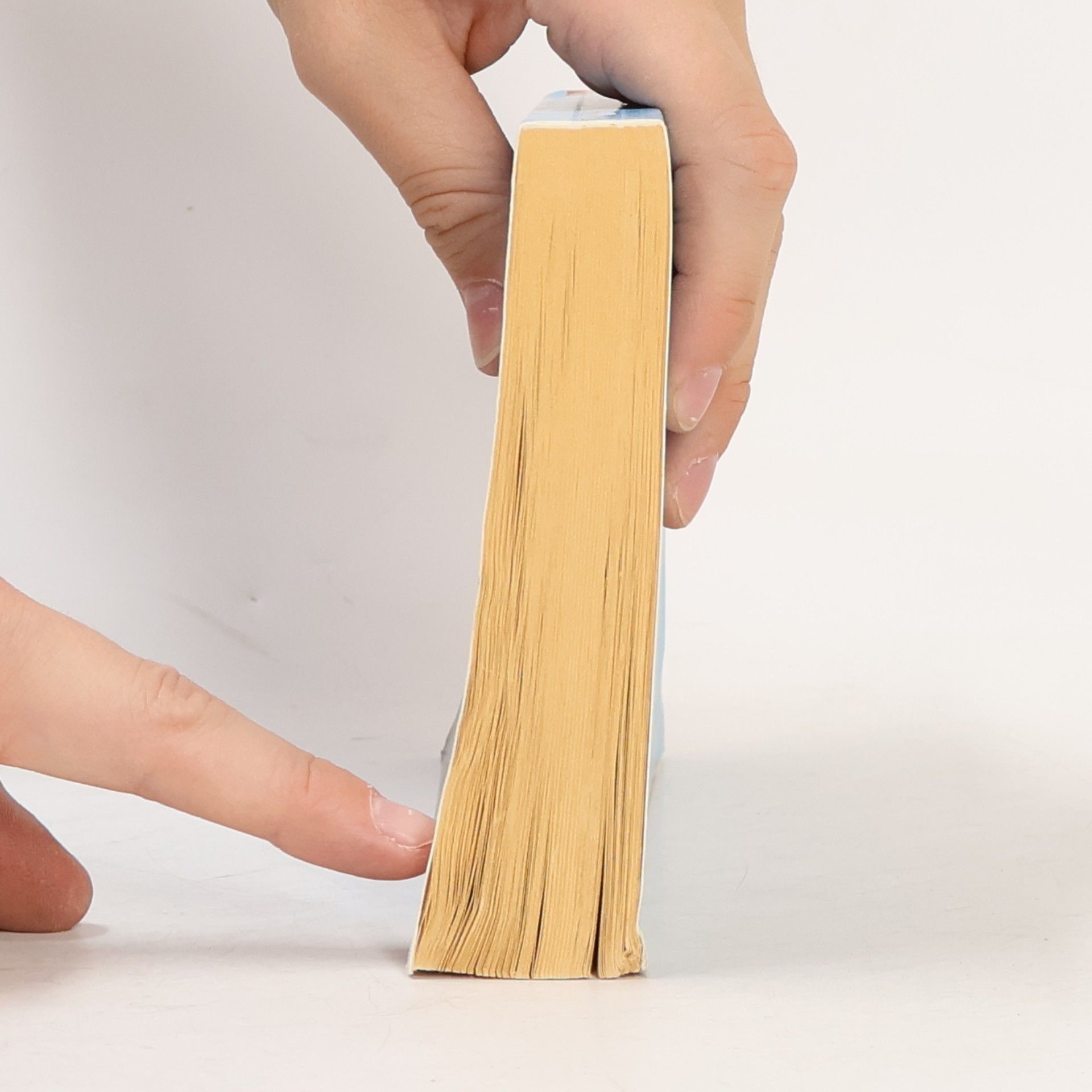Christine Cerny Das Buch der Naturgeister