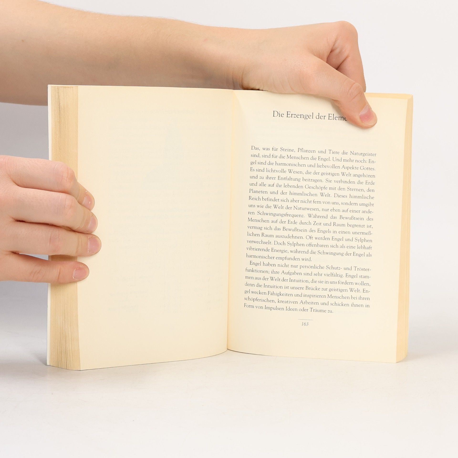 Christine Cerny Das Buch der Naturgeister