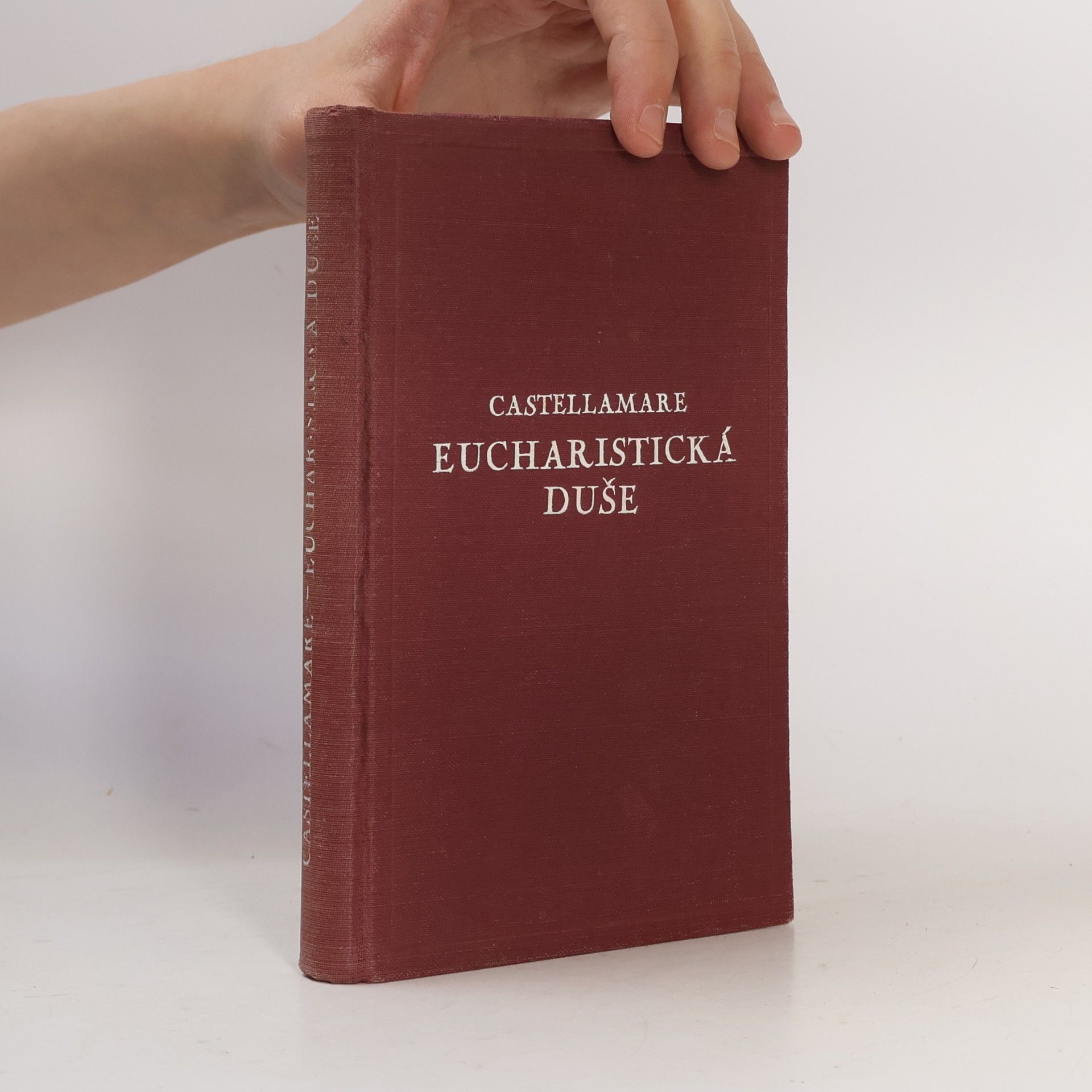 Autorenkollektiv Eucharistická duše