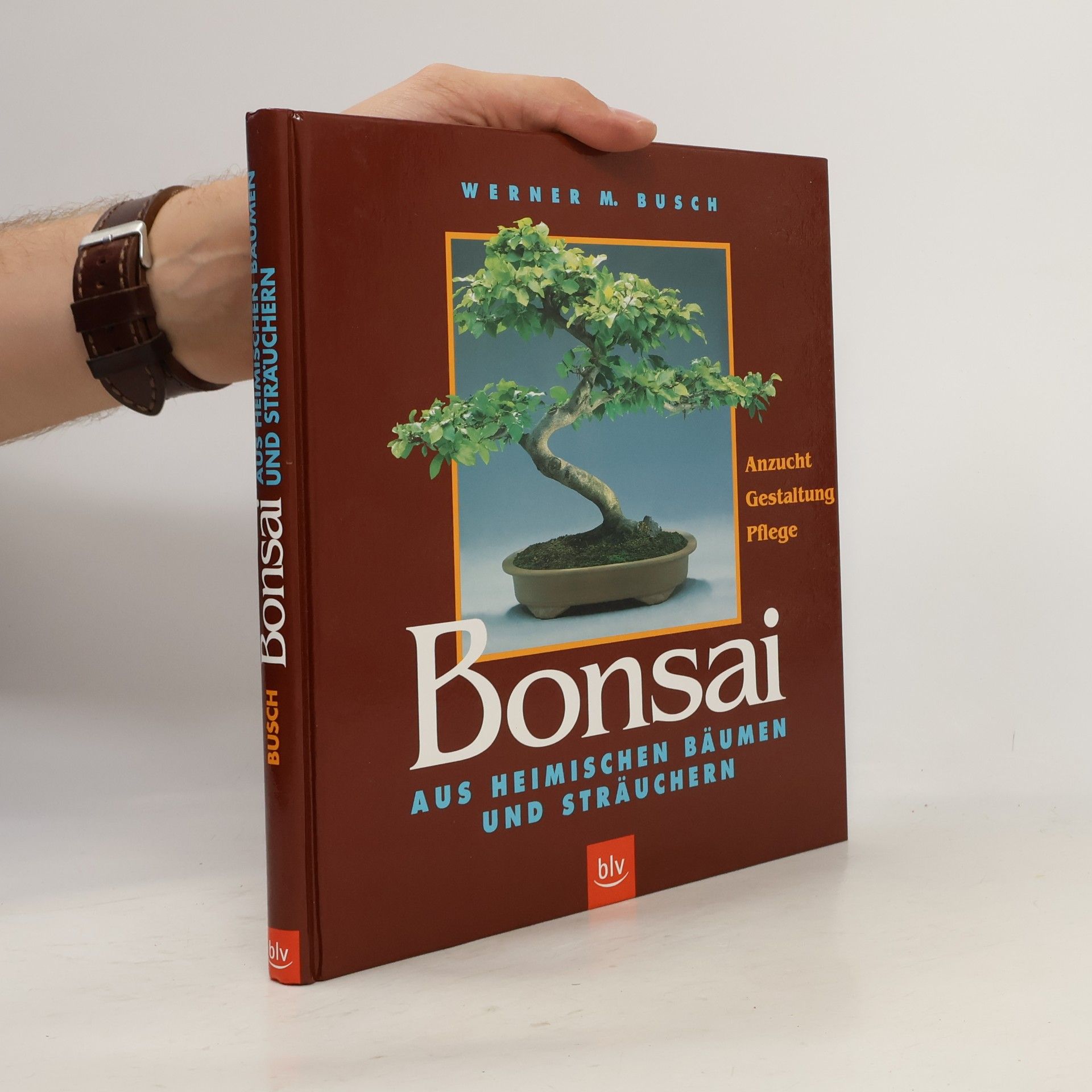 Bonsai aus heimischen Bäumen und Sträuchern