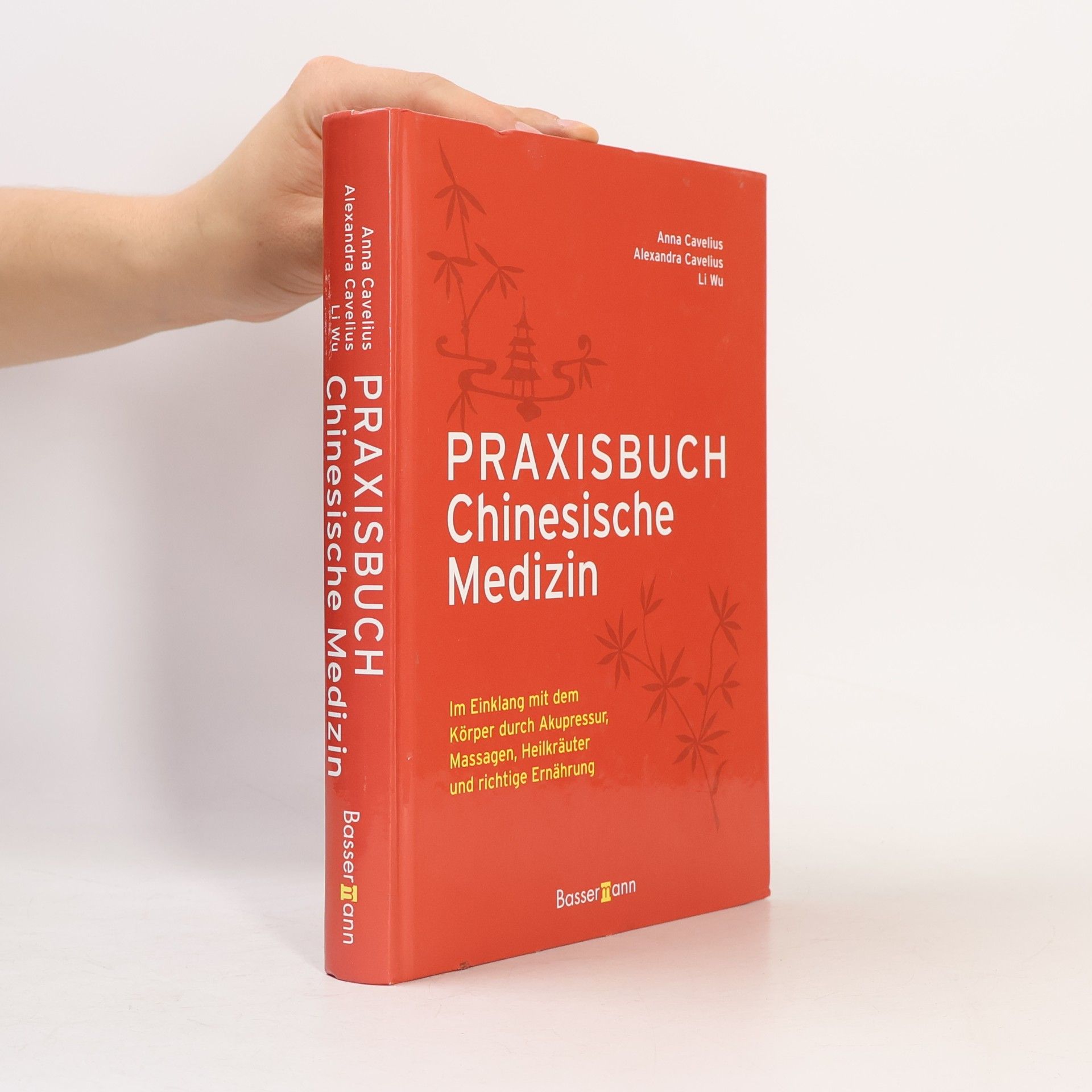 Praxisbuch chinesische Medizin
