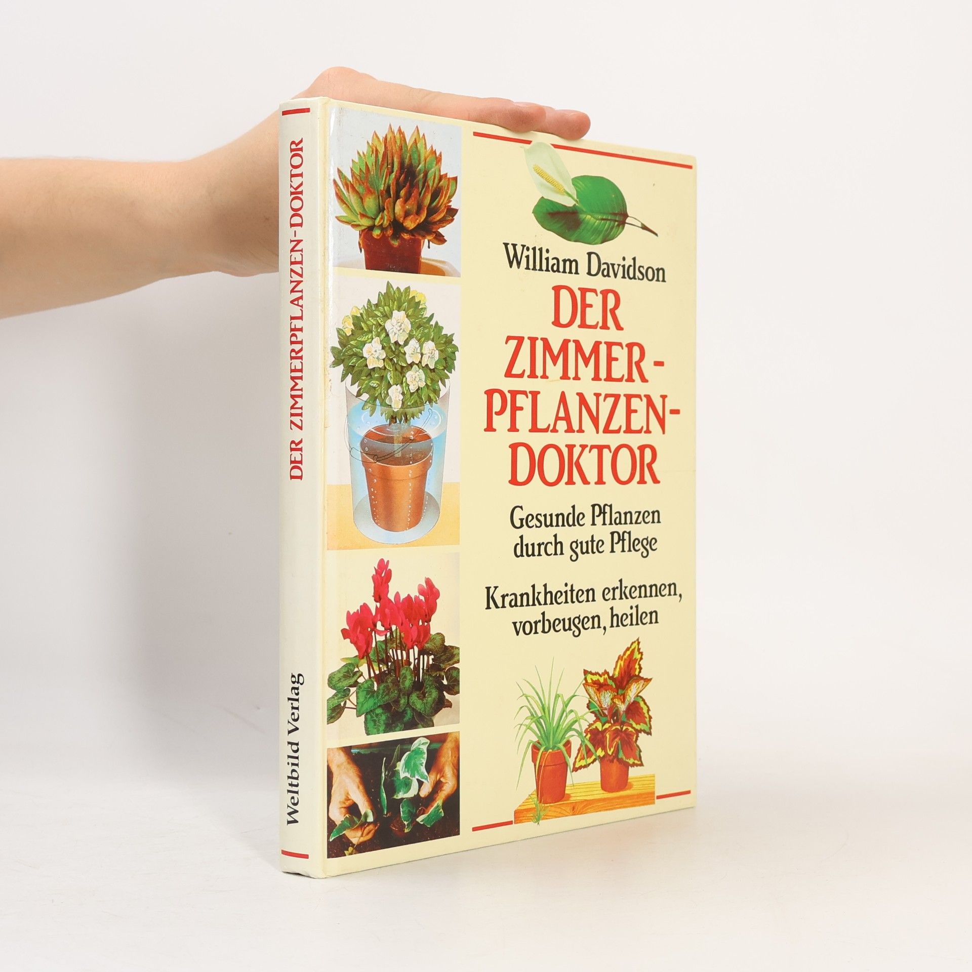 William Davidson Der Zimmerpflanzendoktor