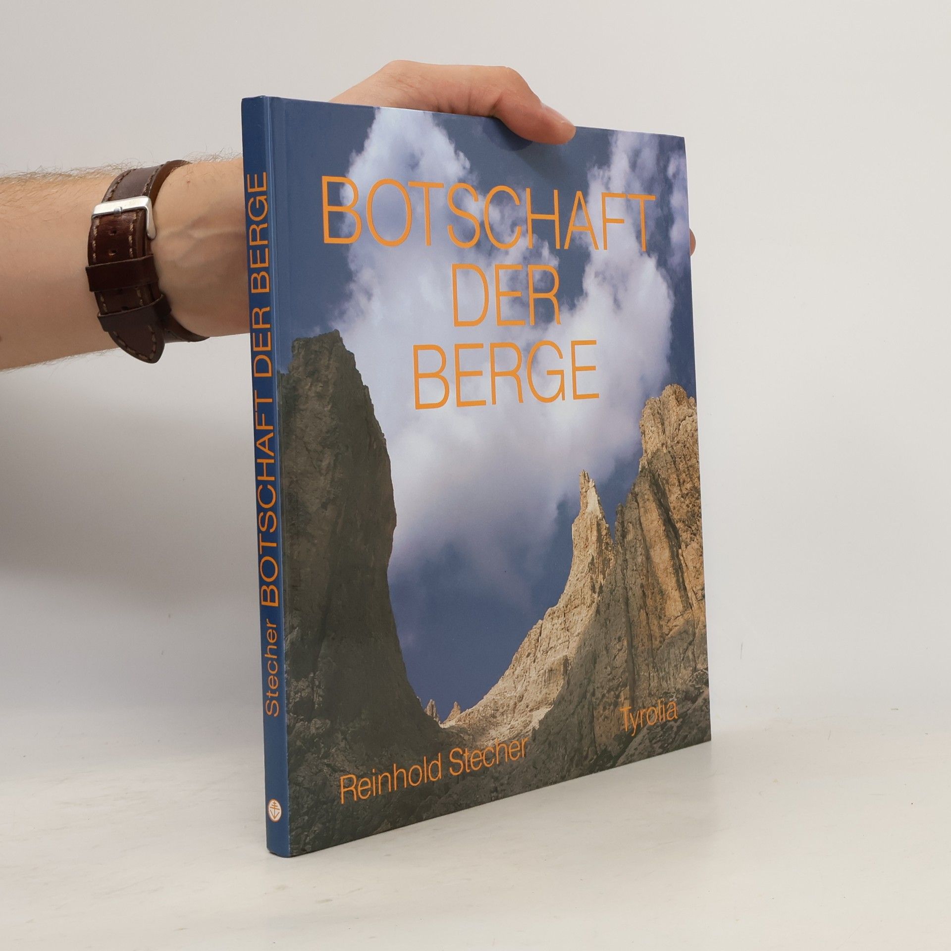 Reinhold Stecher Botschaft der Berge
