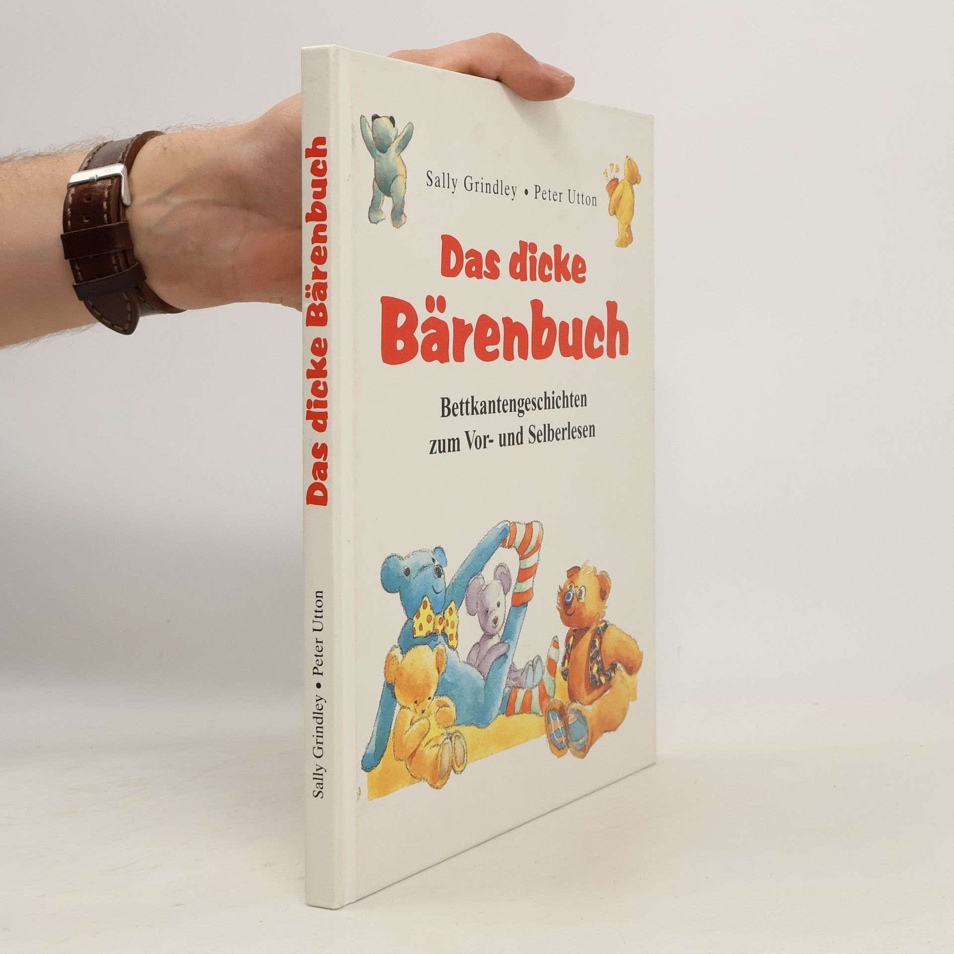 Das dicke Bärenbuch