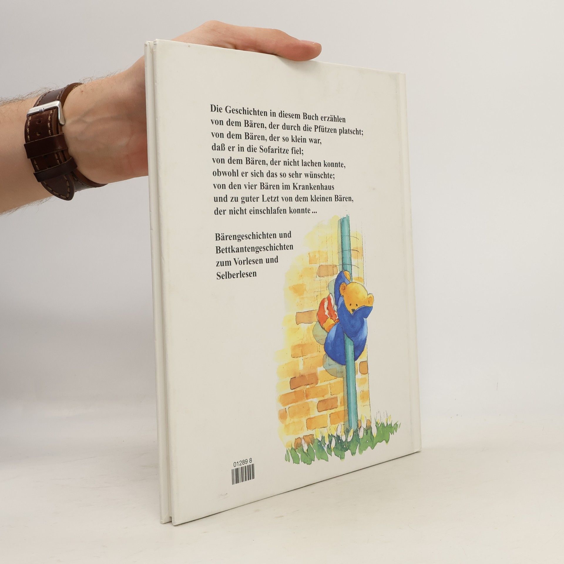 Sally Grindley Das dicke Bärenbuch