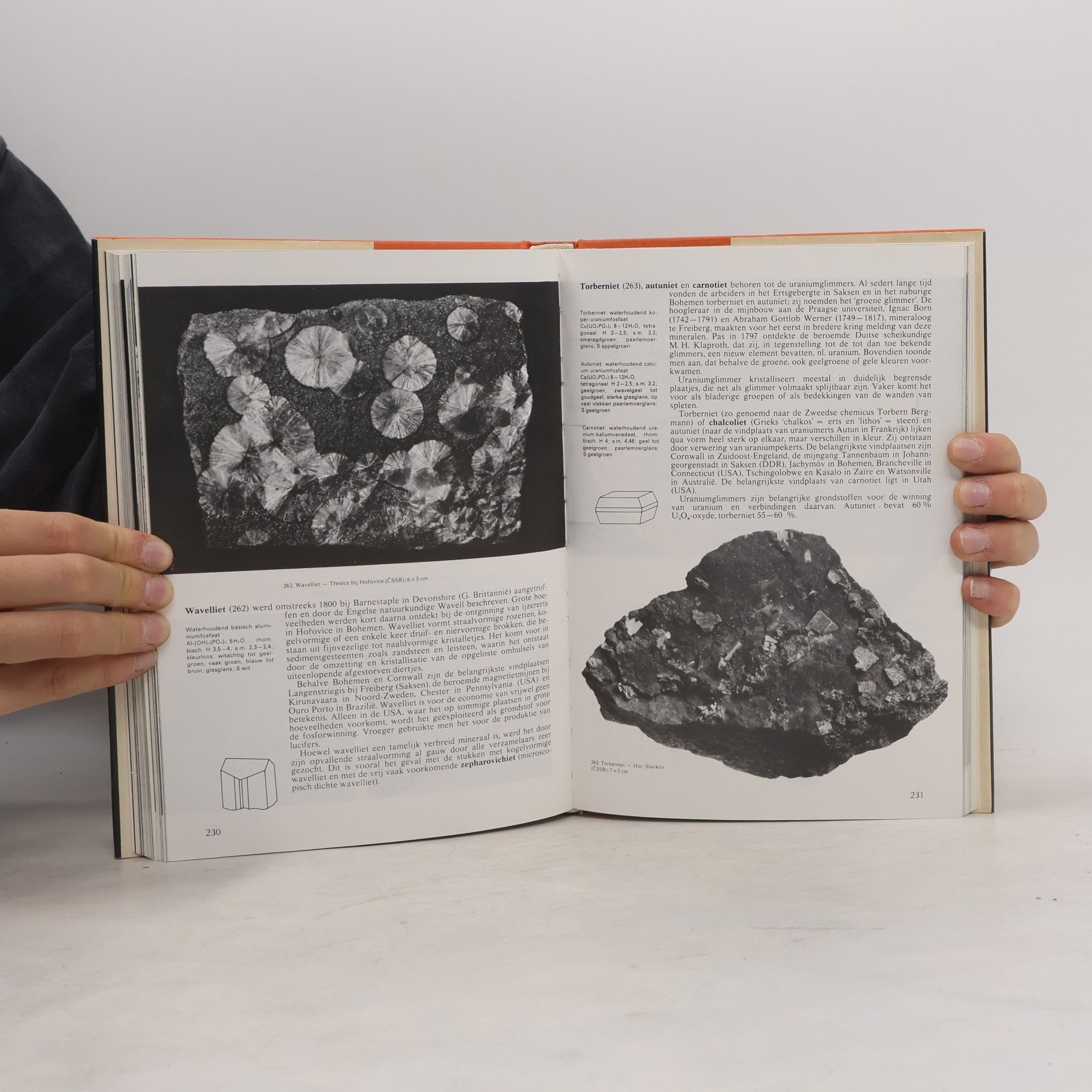 kolektiv Mineralen