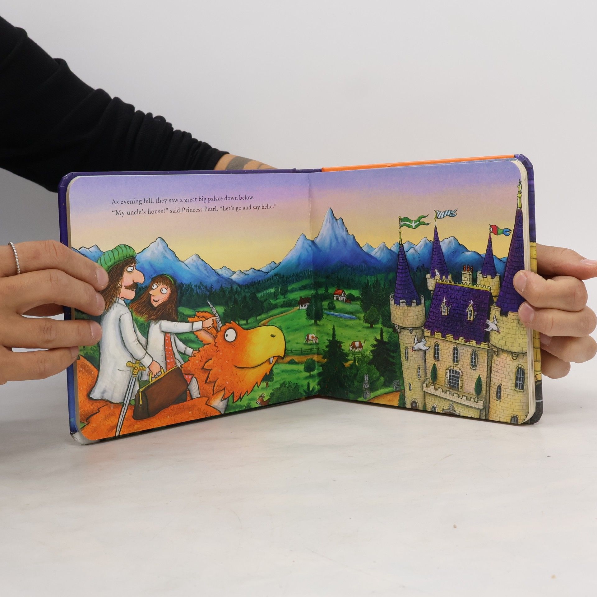 Julia Donaldson Zog and the Flying Doctors Gift edition board book